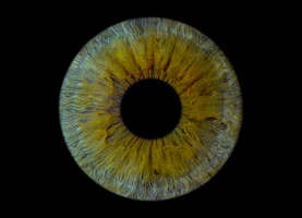 A close up of a yellow eyeball in the dark