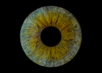 A close up of a yellow eyeball in the dark