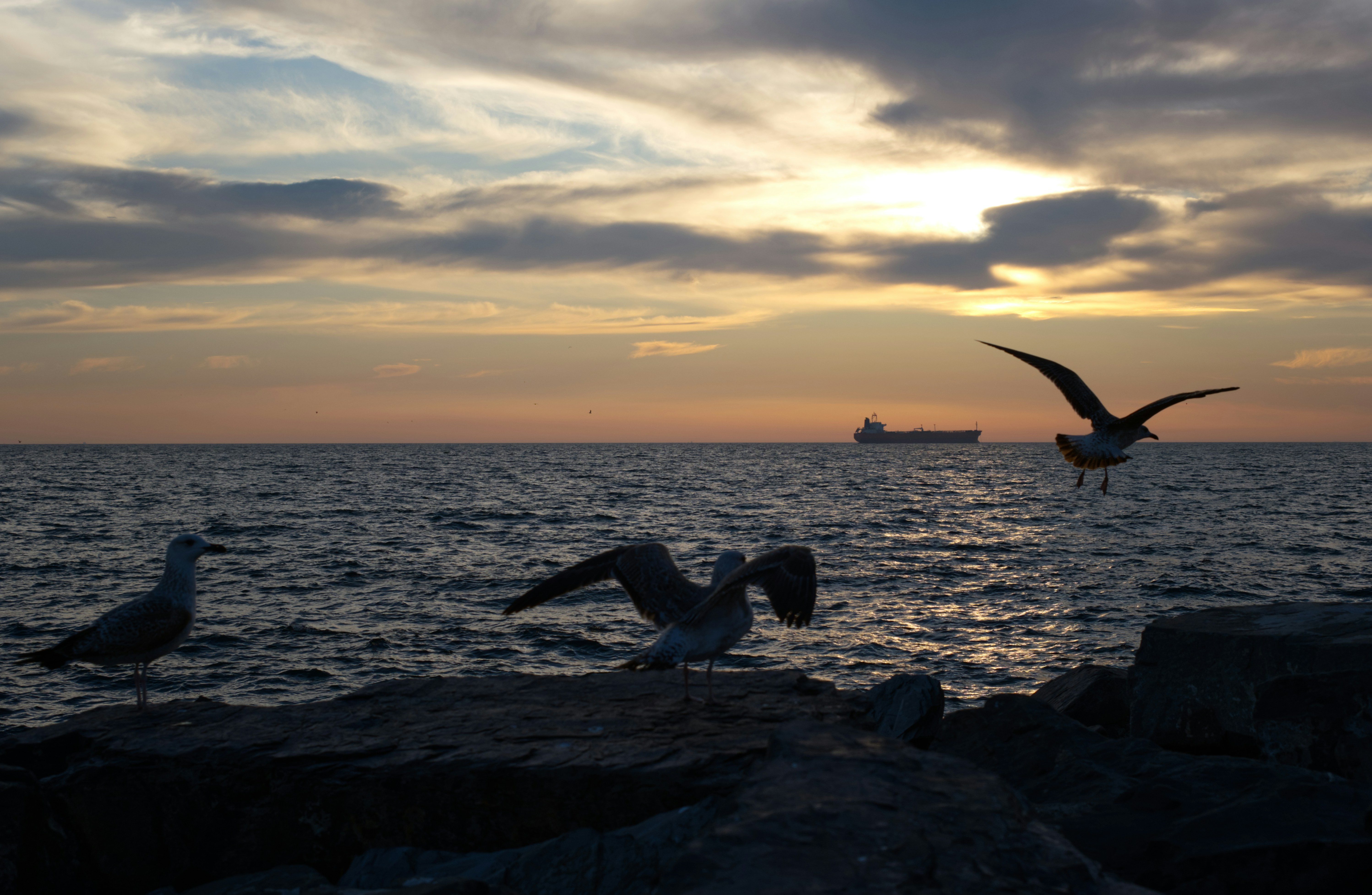 Photo by iozmen