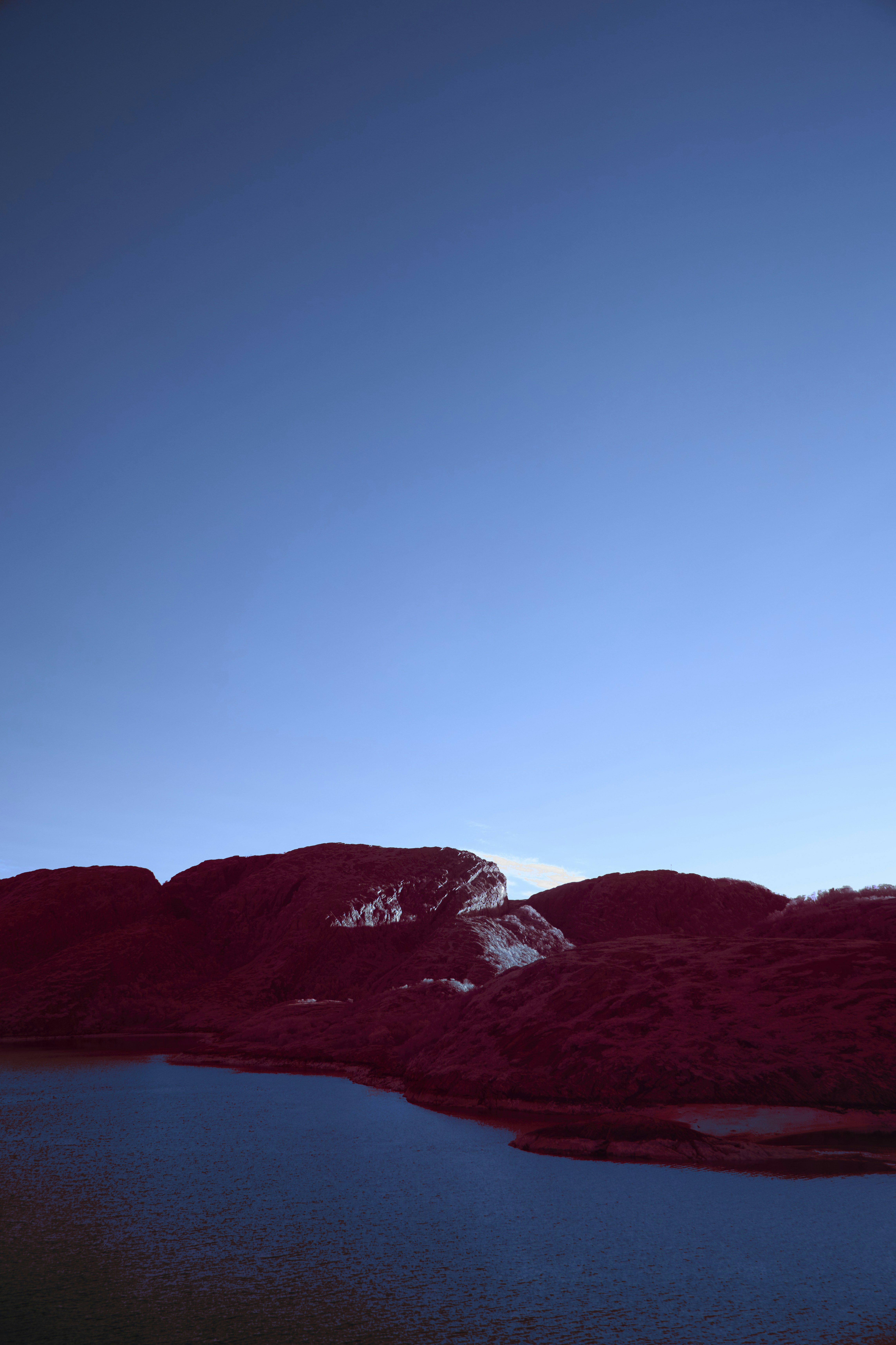 Photo by wolfgang_hasselmann