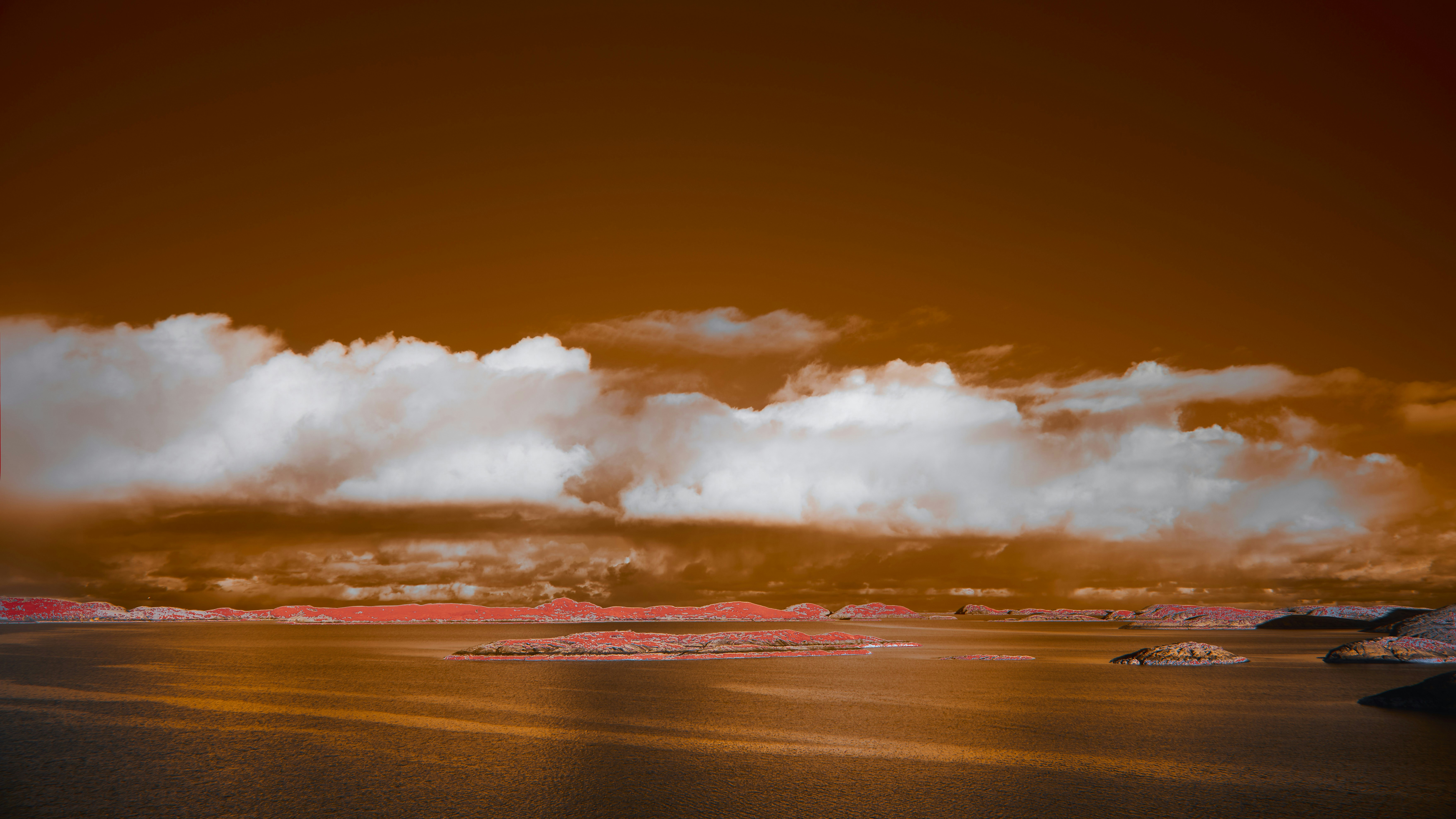 Photo by wolfgang_hasselmann