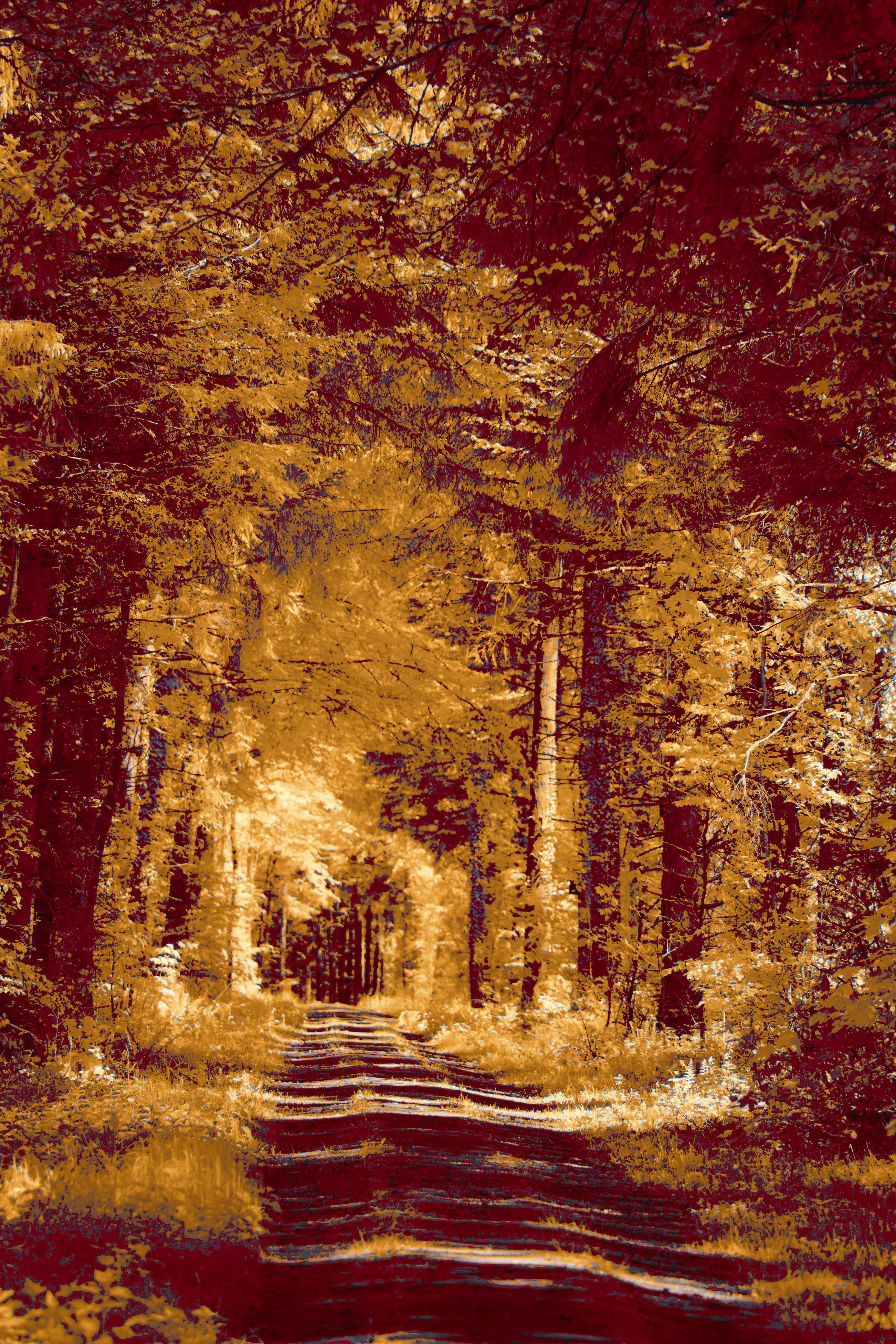 Photo by wolfgang_hasselmann