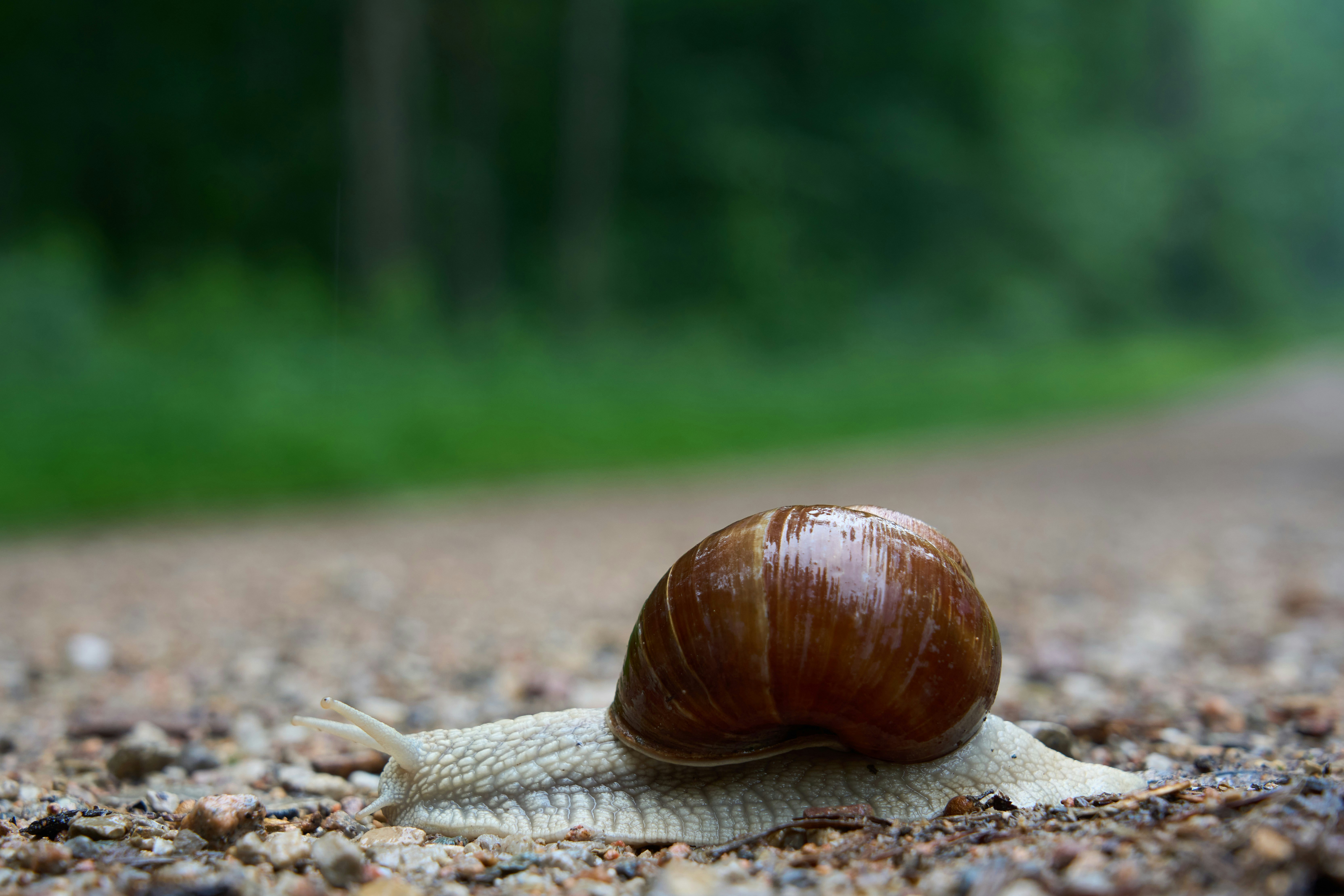 Photo by wolfgang_hasselmann