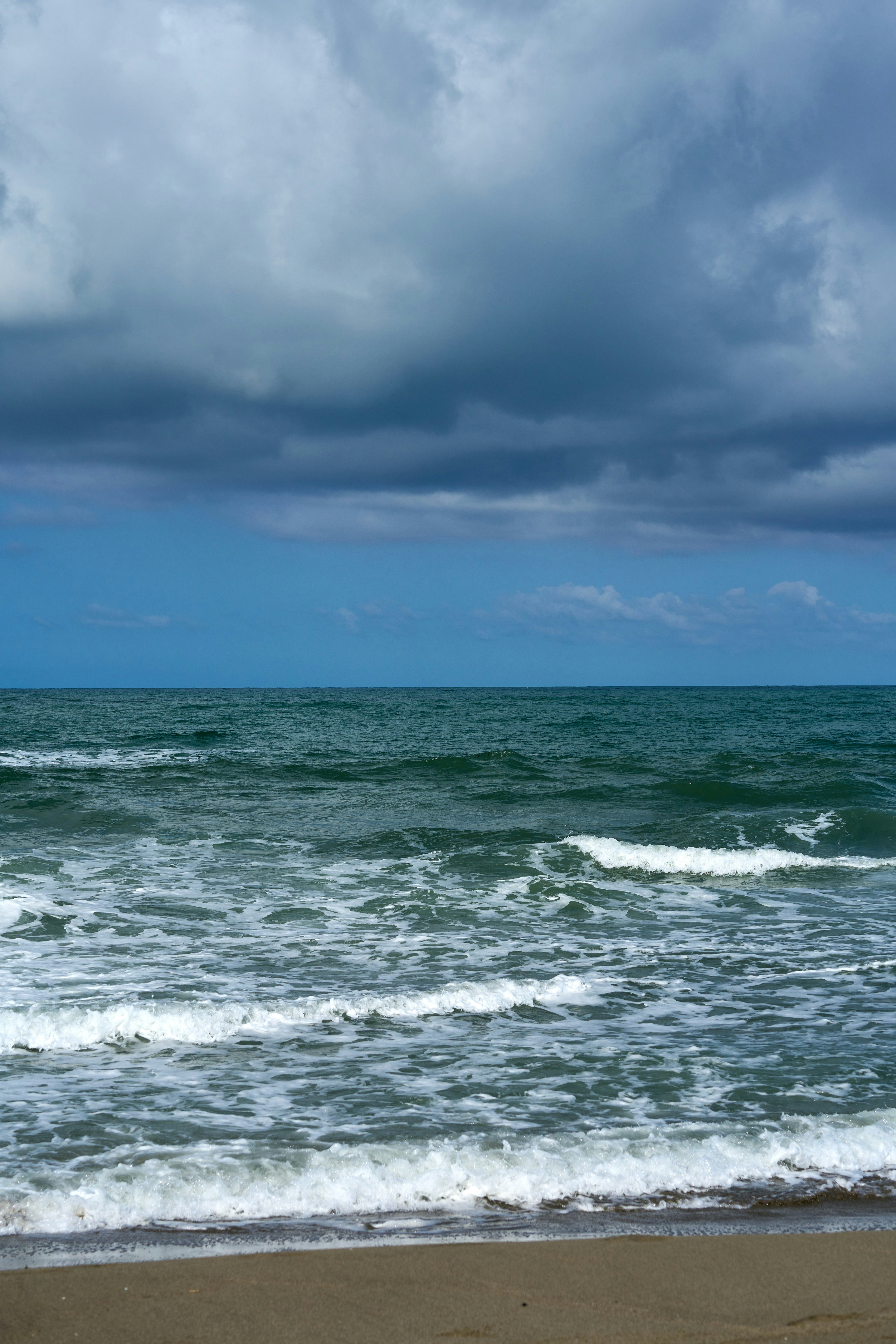 Photo by wolfgang_hasselmann