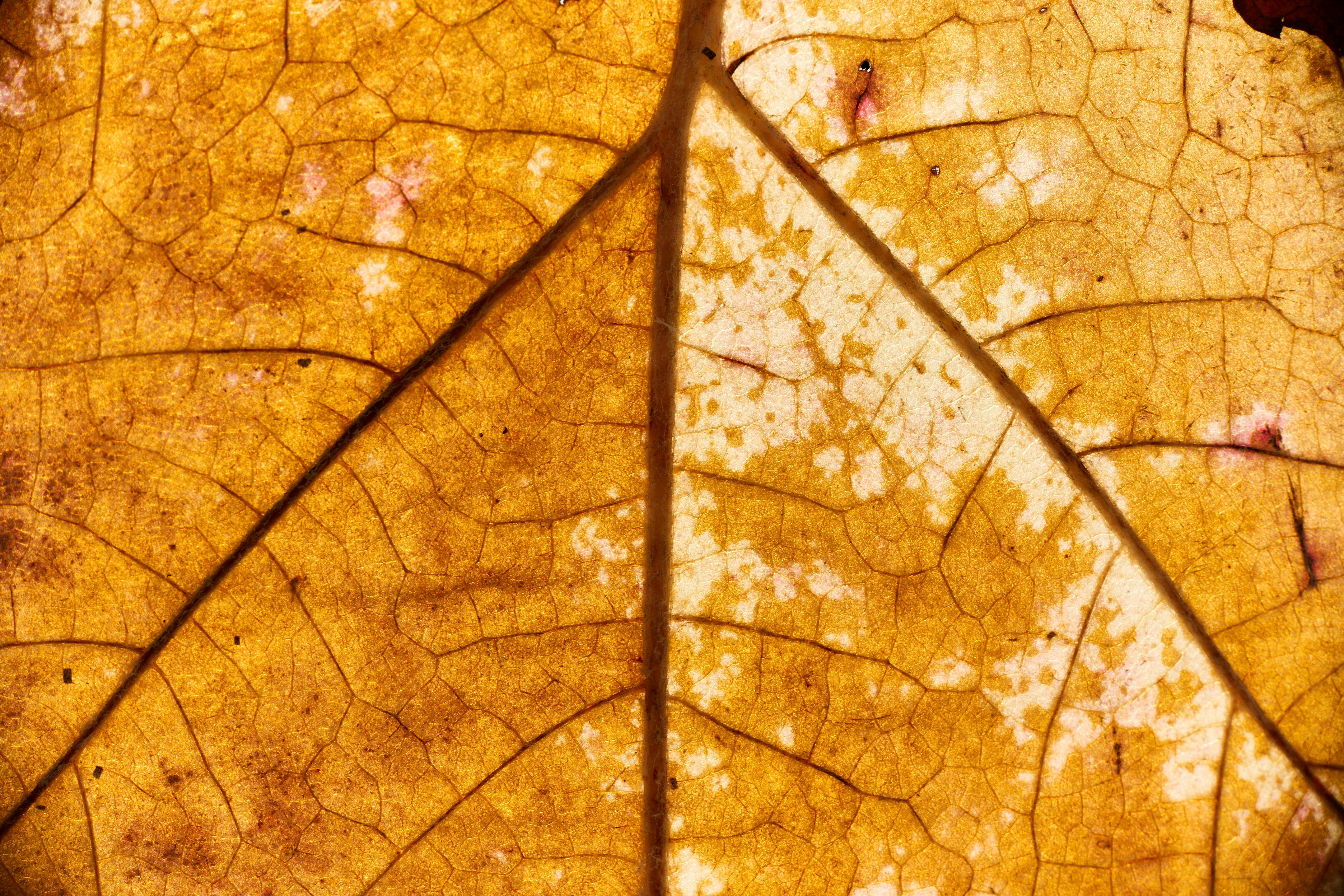 win10任务栏图标空白设置