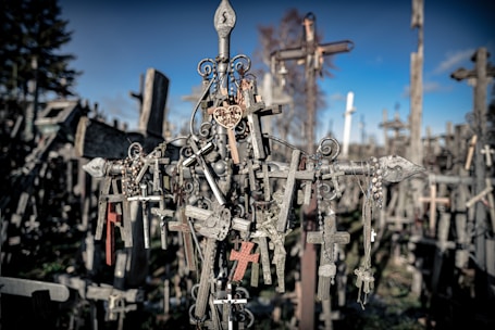 A bunch of crosses that are in the grass