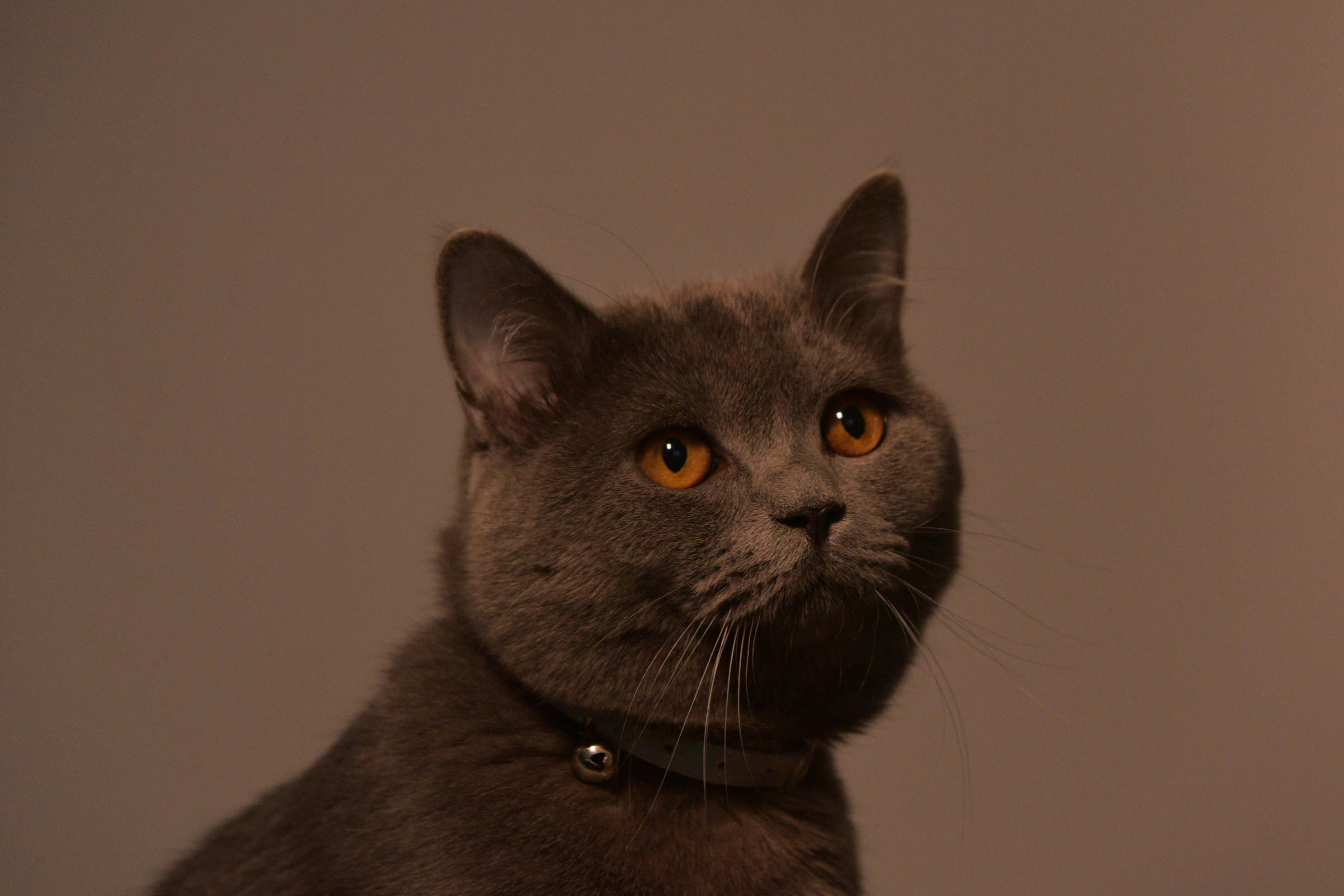 Professional setting with authentic presence