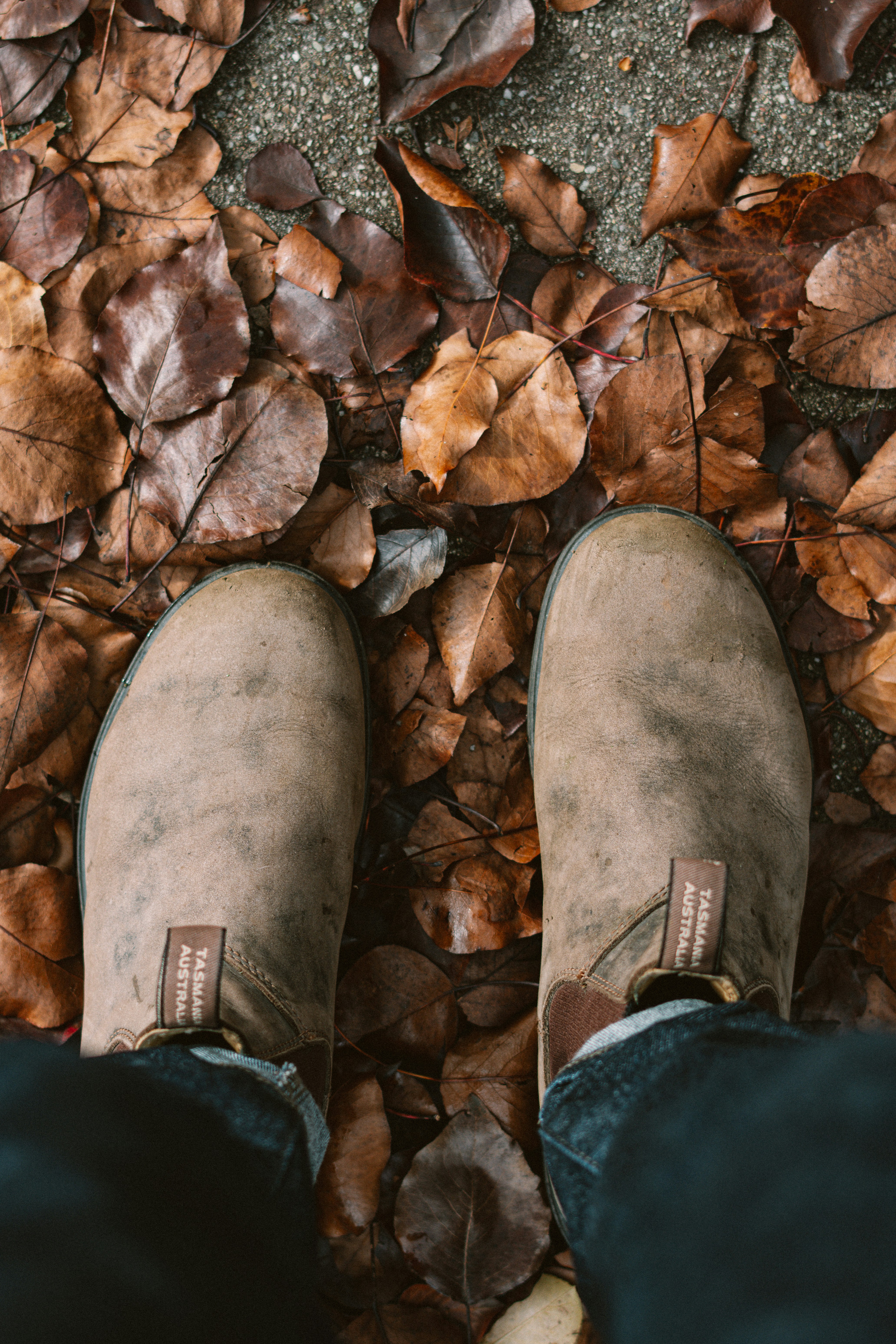 Photo by christopherstites