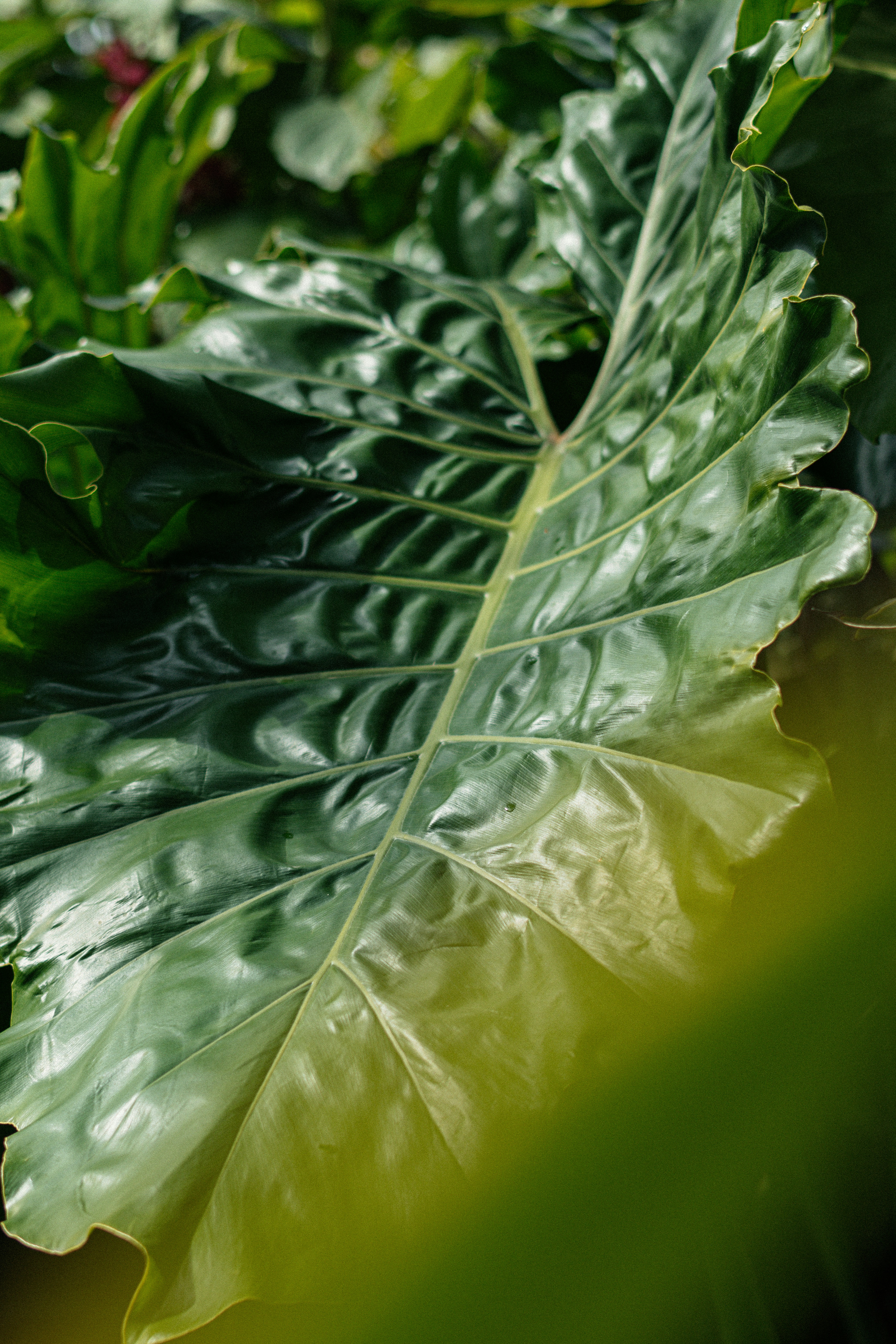 Photo by christopherstites