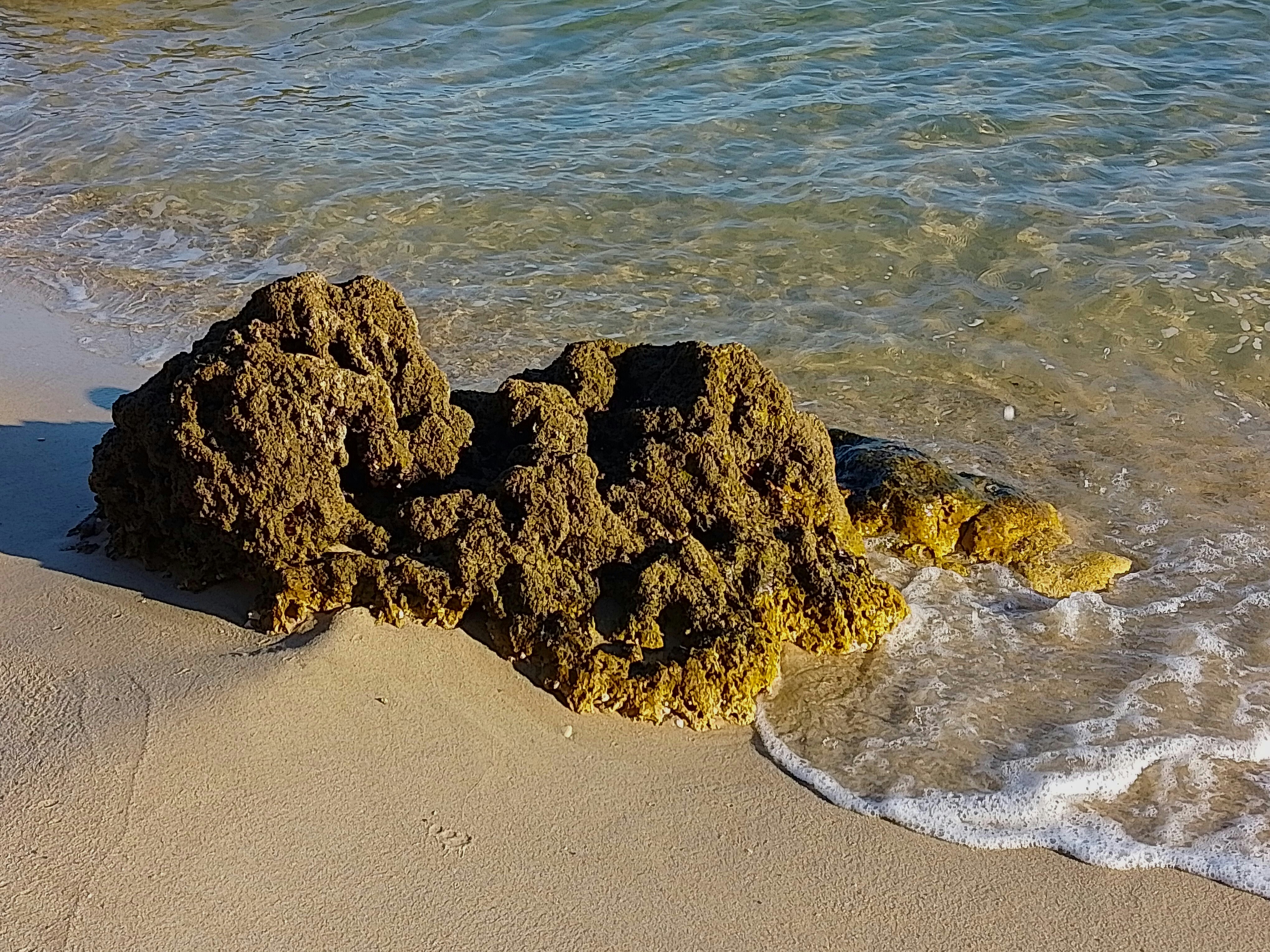 Photo by jason_edmunds