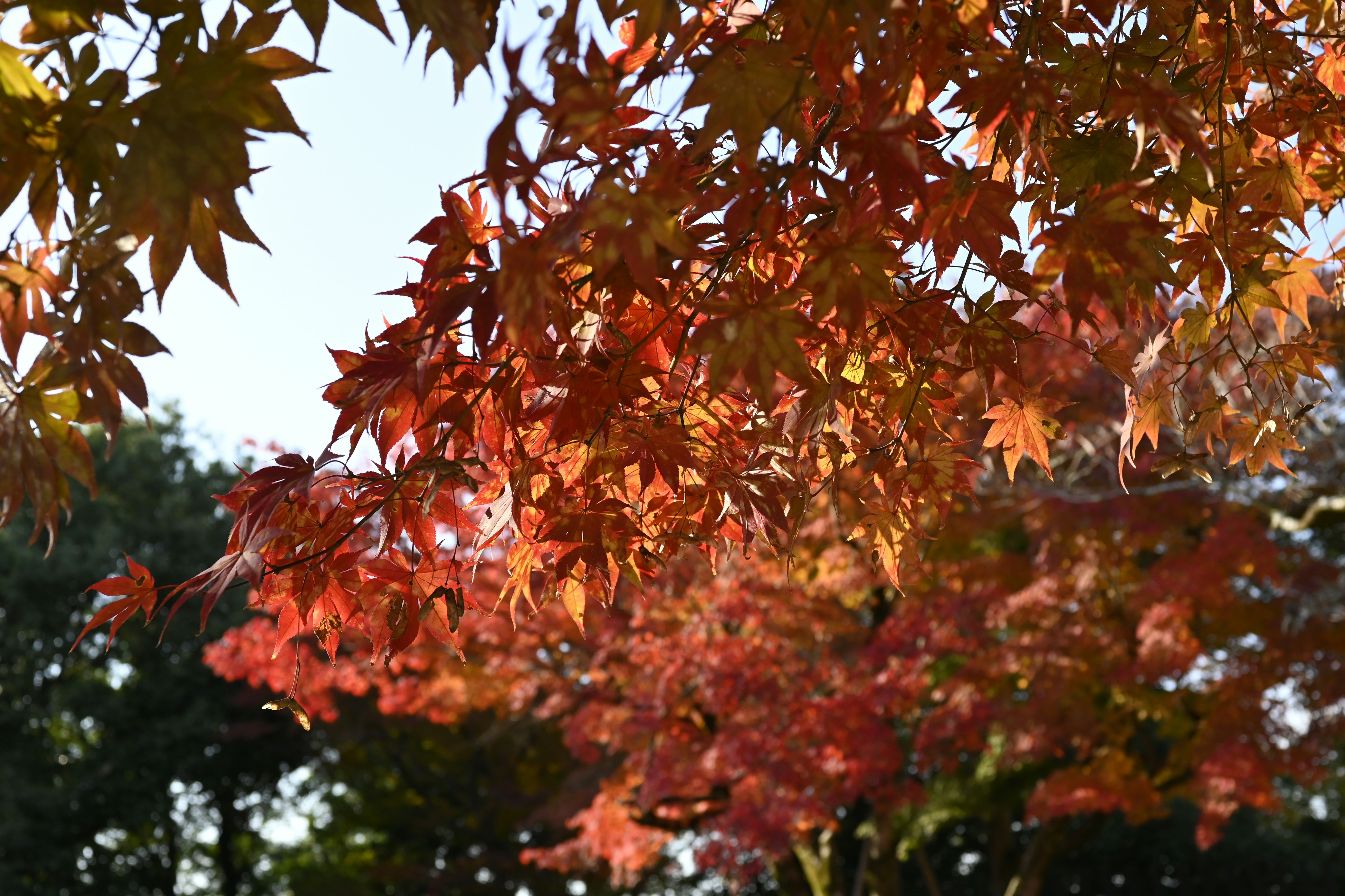 Photo by leoliang1230