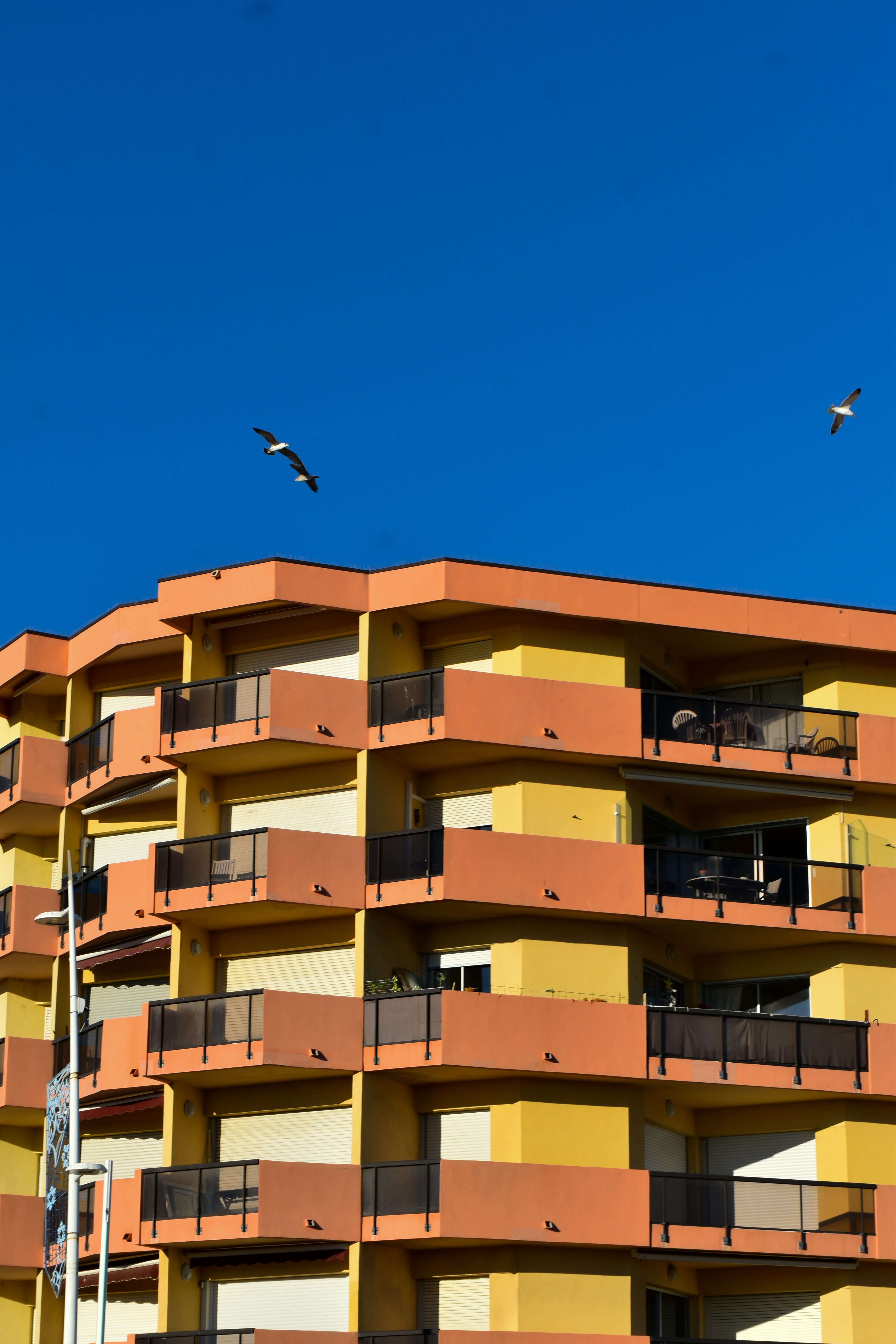 Photo by ahmed_sl___