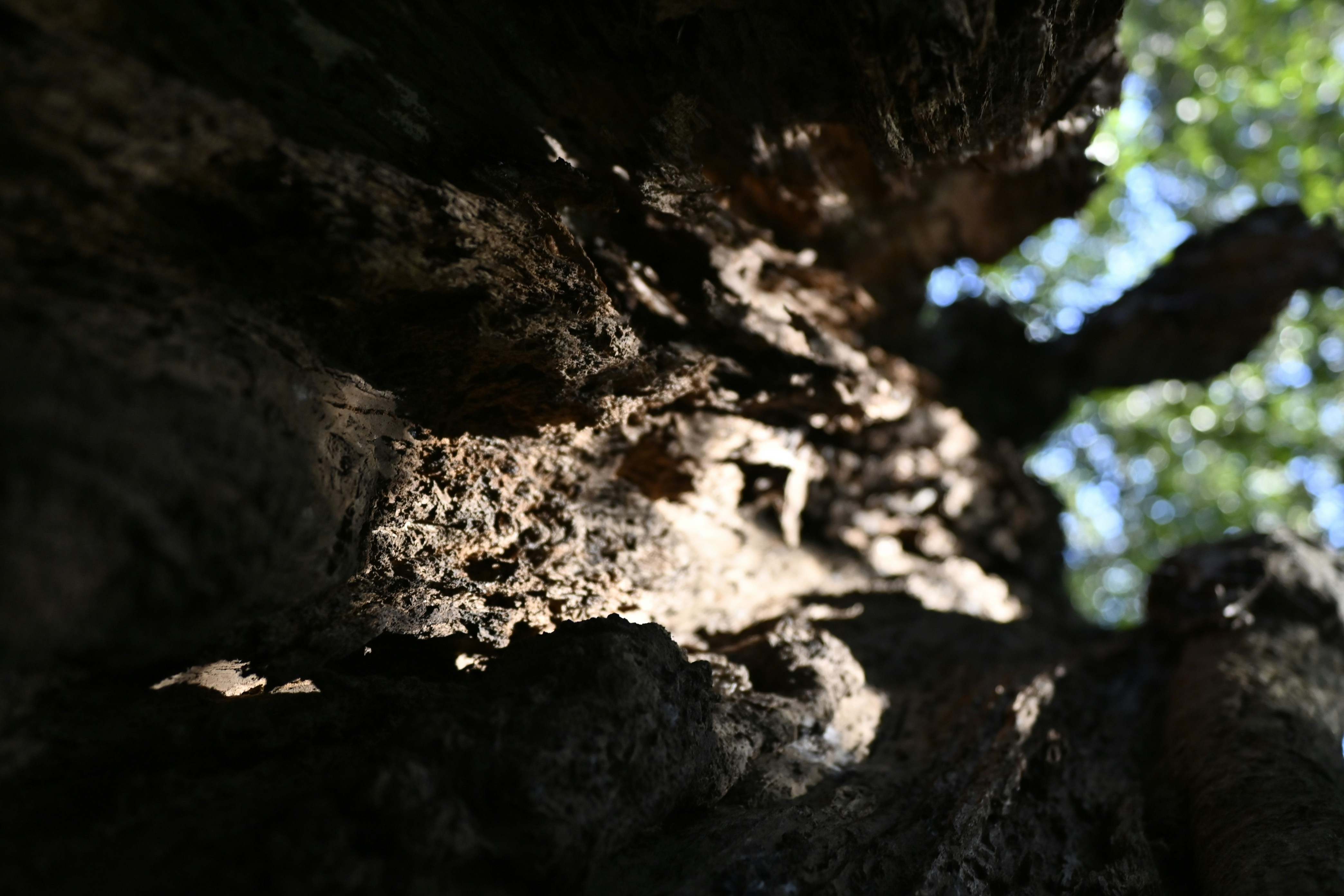 Photo by leoliang1230