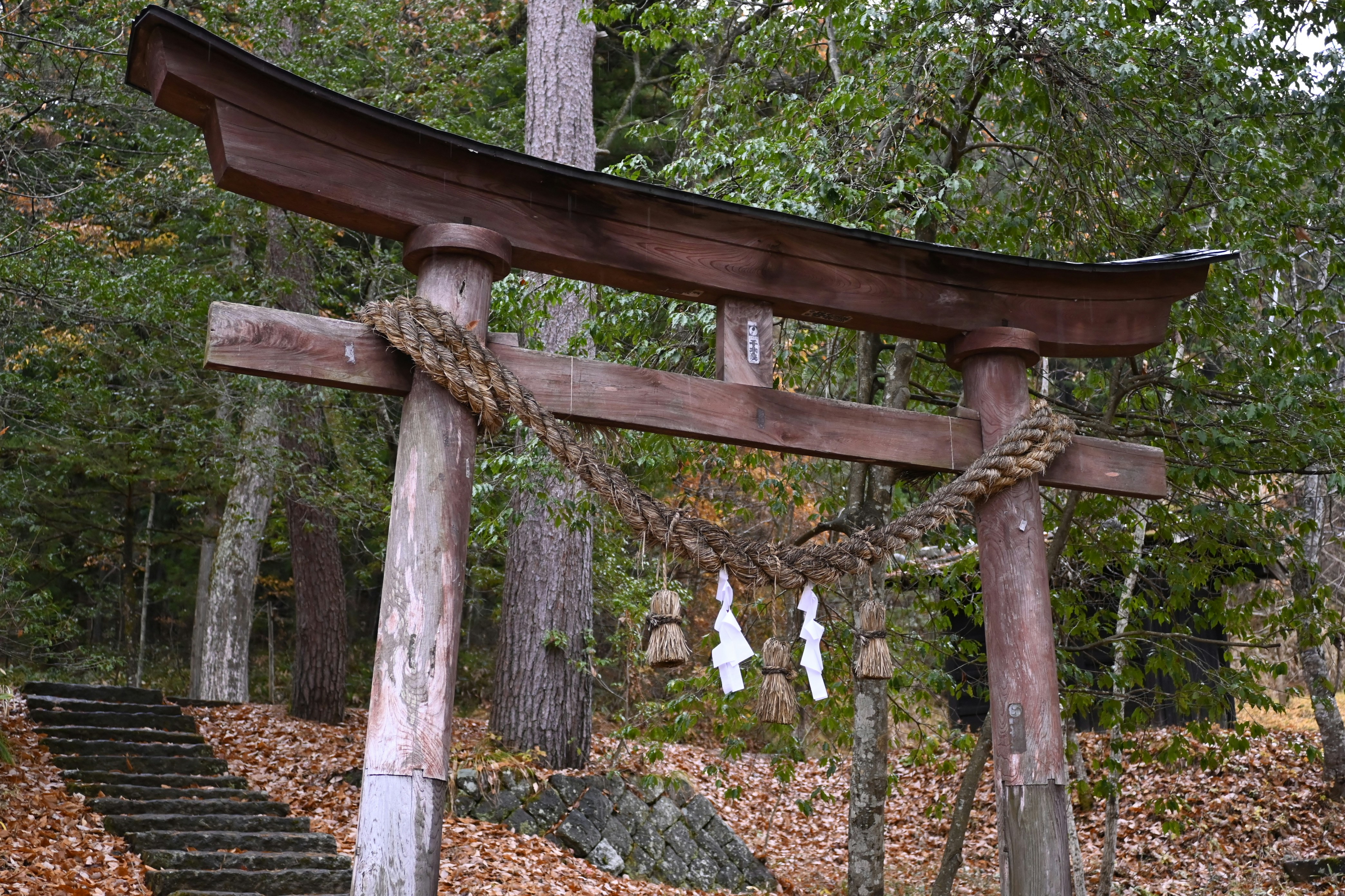 Photo by leoliang1230