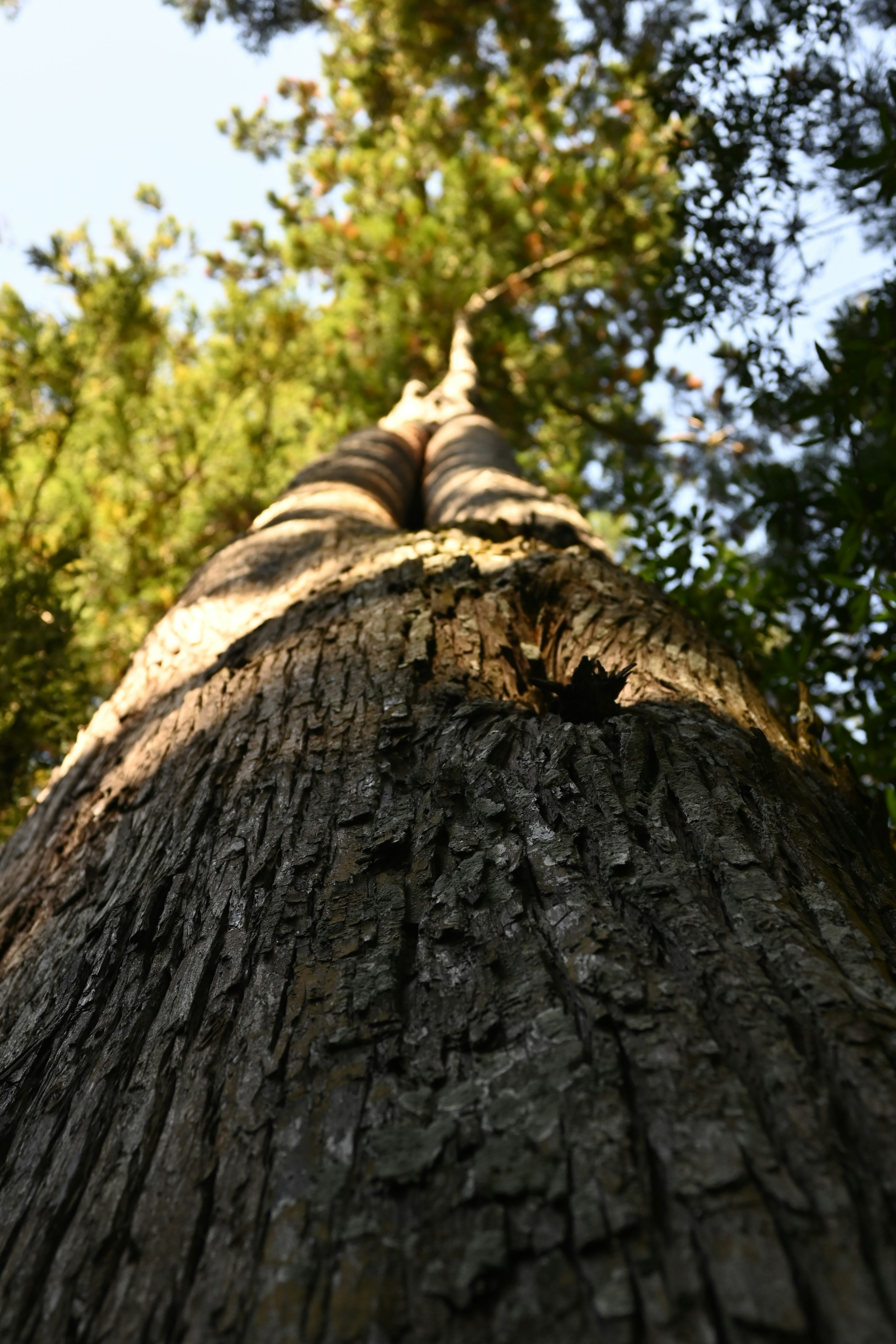 Photo by leoliang1230