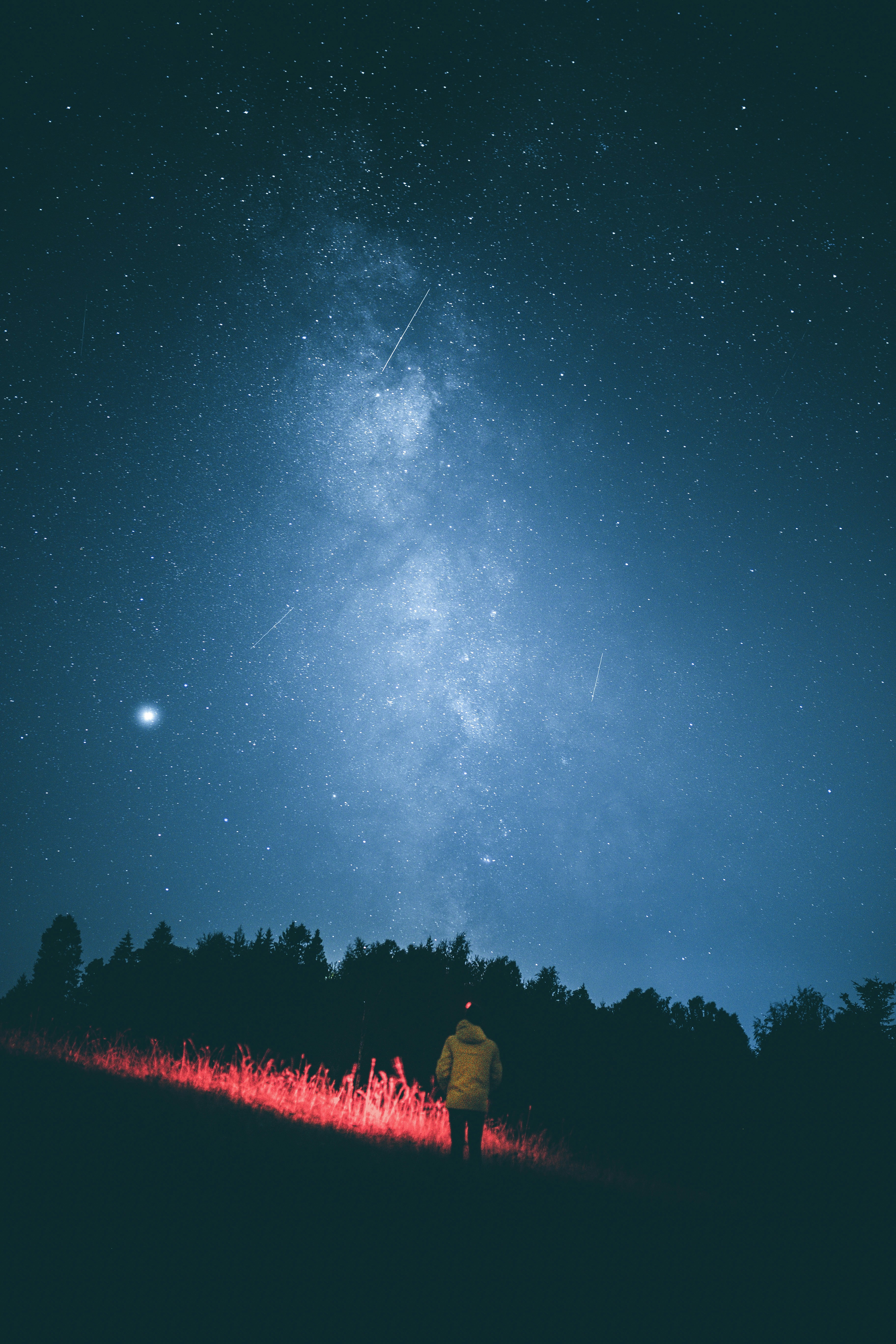 The Ecological Fallacy: When Group Patterns Don't Apply to Individuals