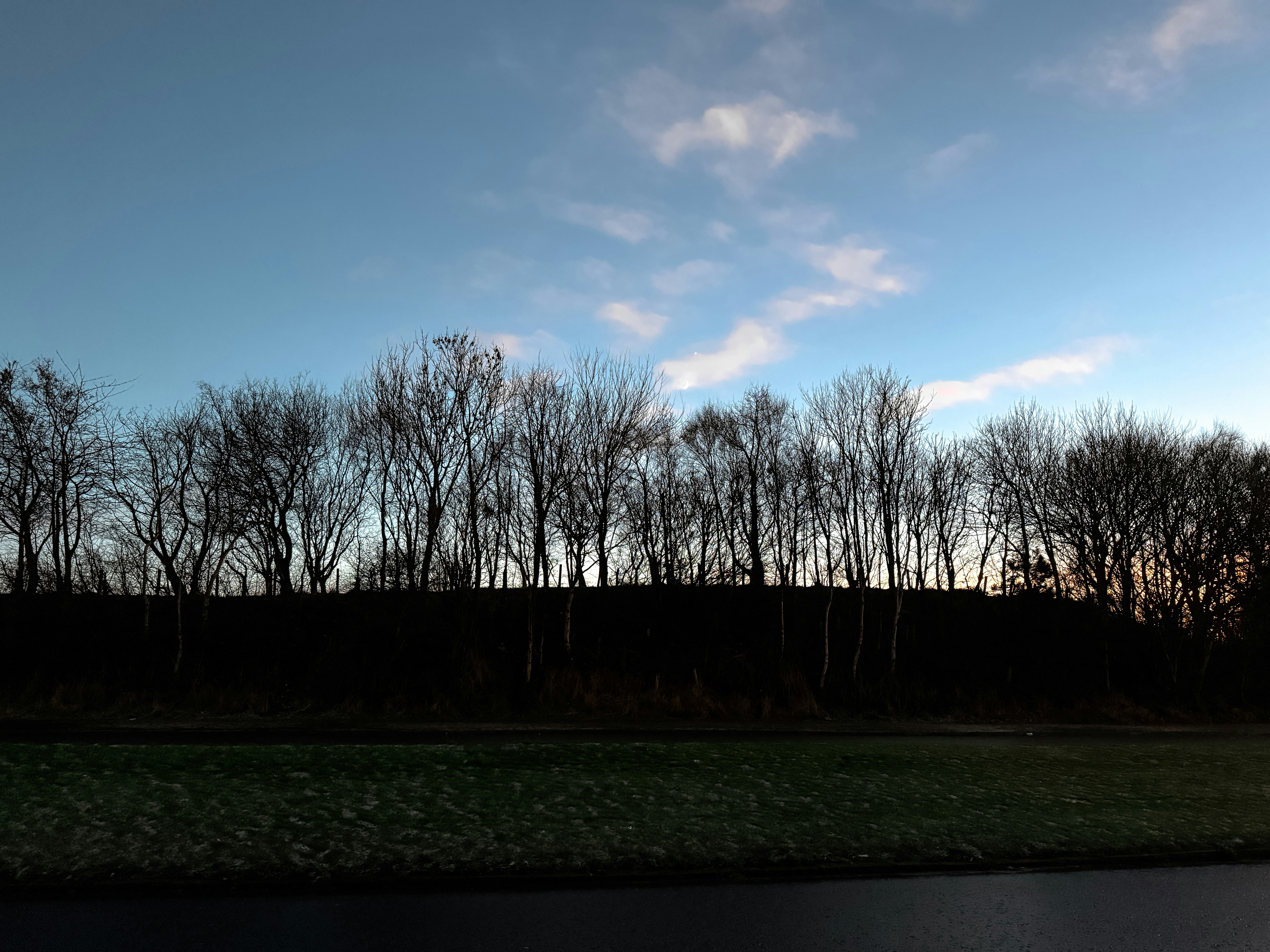 A field with trees and a hill in the background