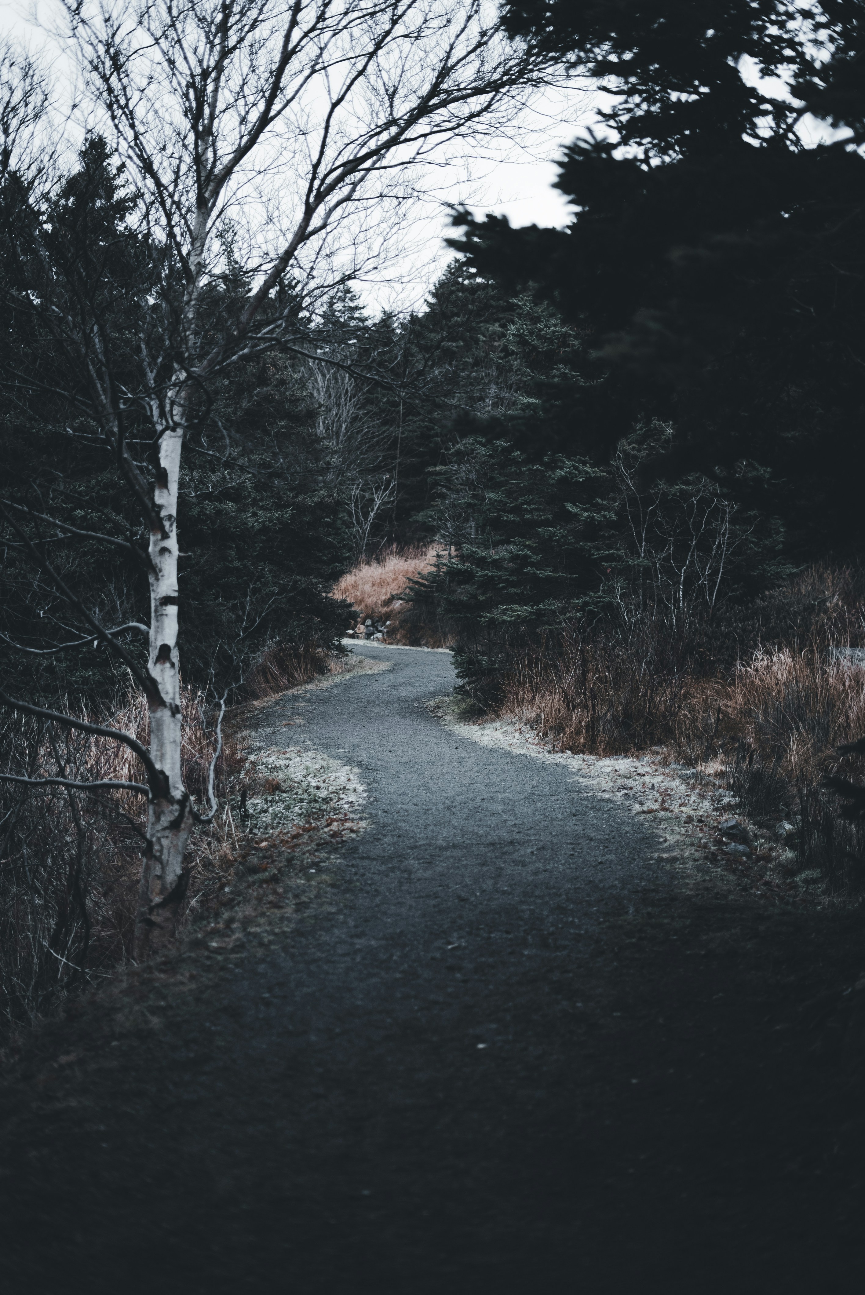 Photo by introspectivedsgn