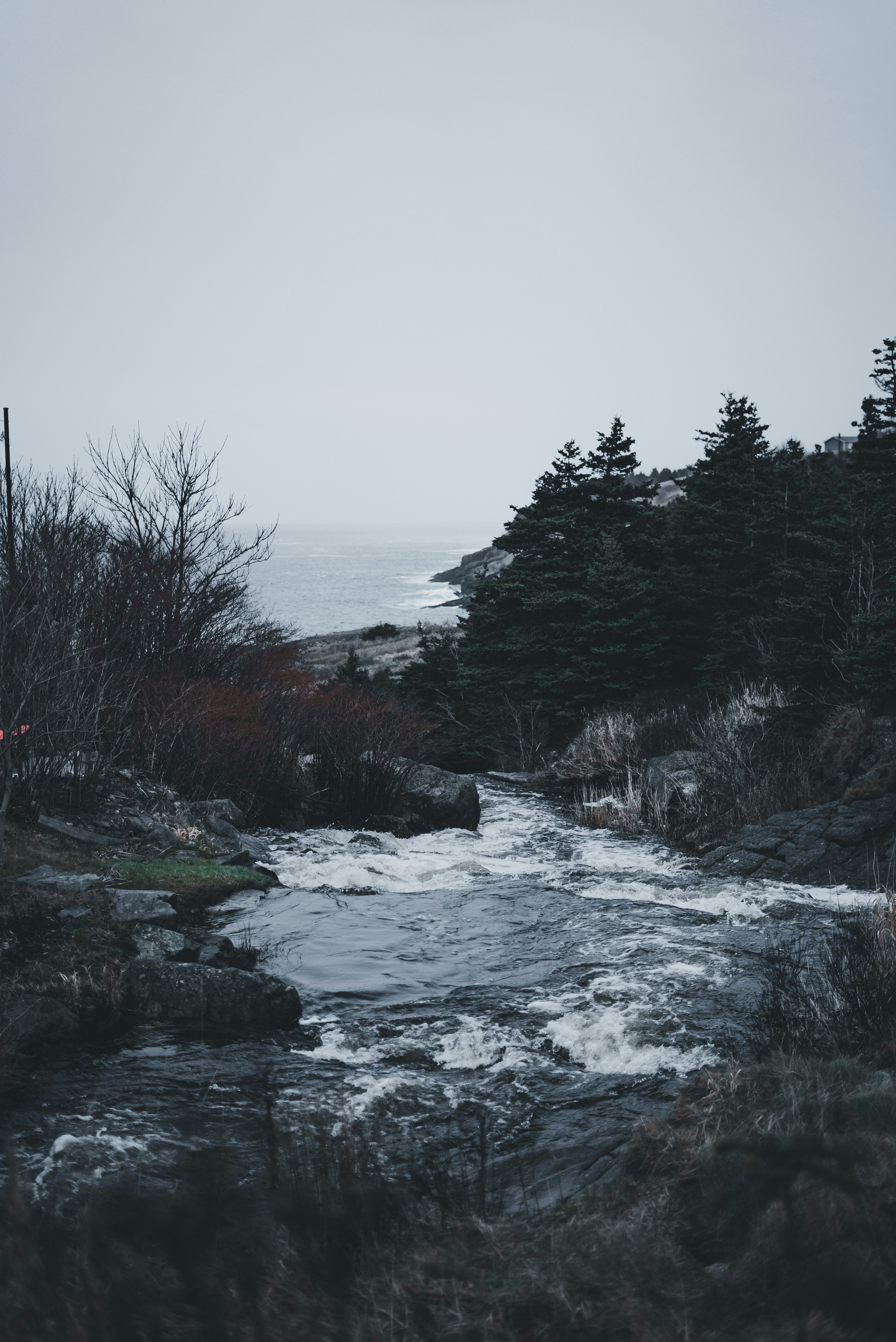 Photo by introspectivedsgn