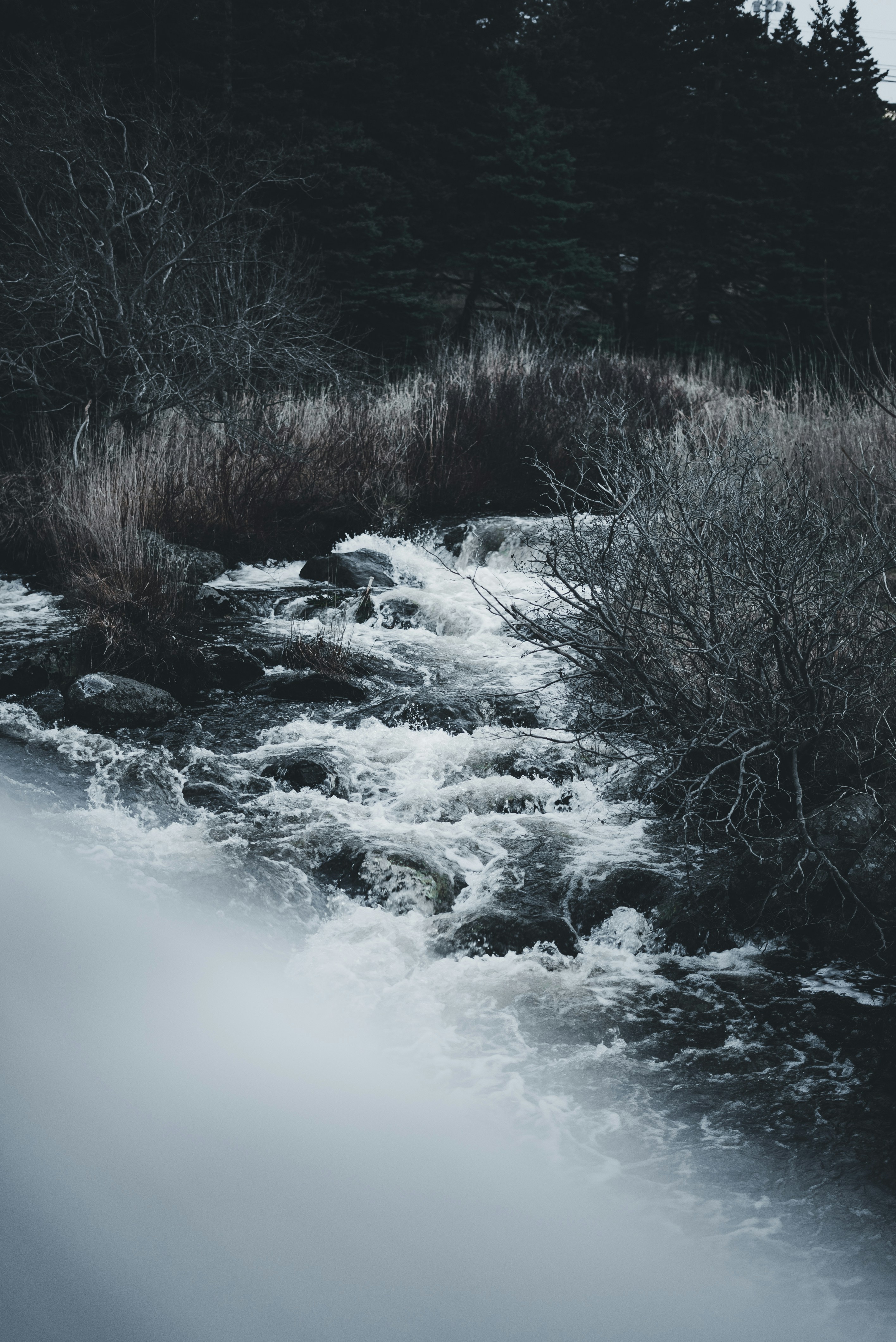 Photo by introspectivedsgn