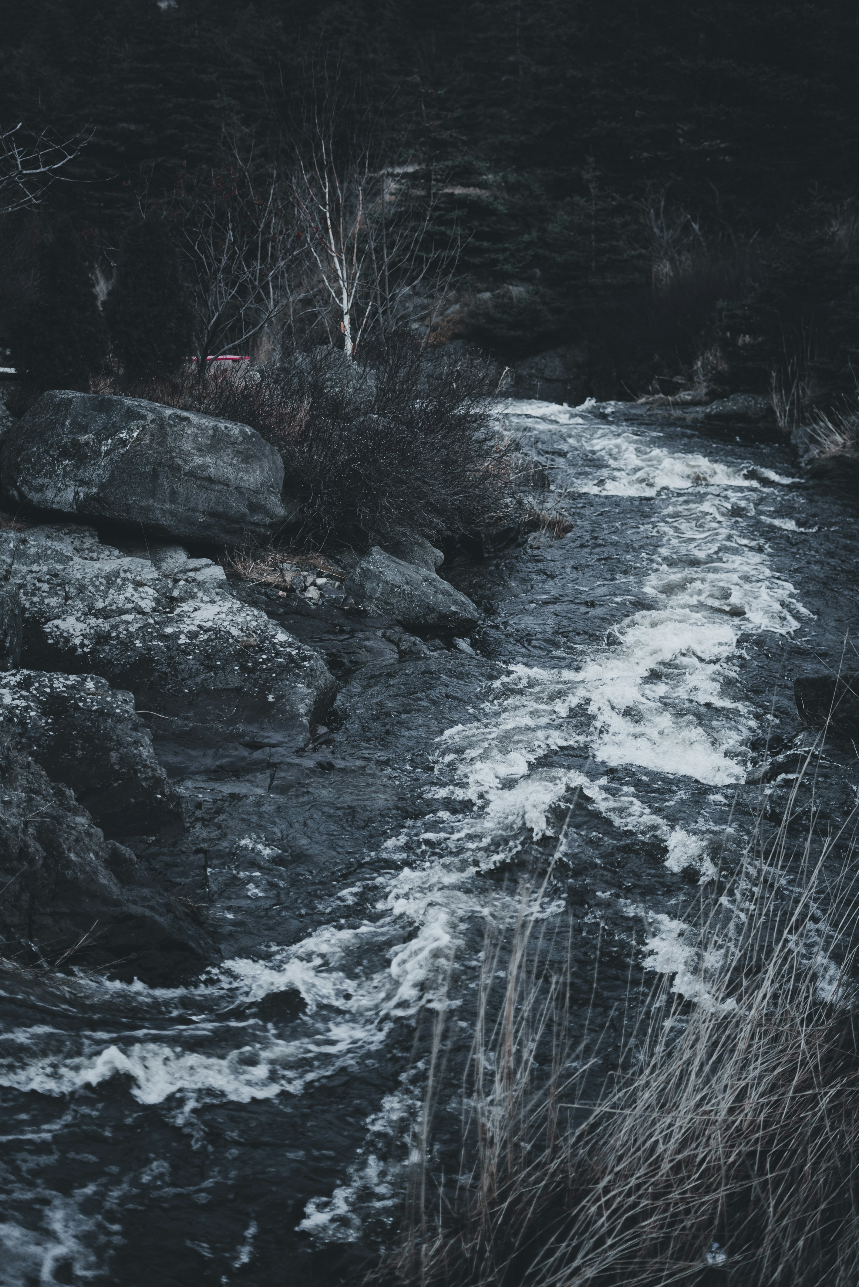 Photo by introspectivedsgn