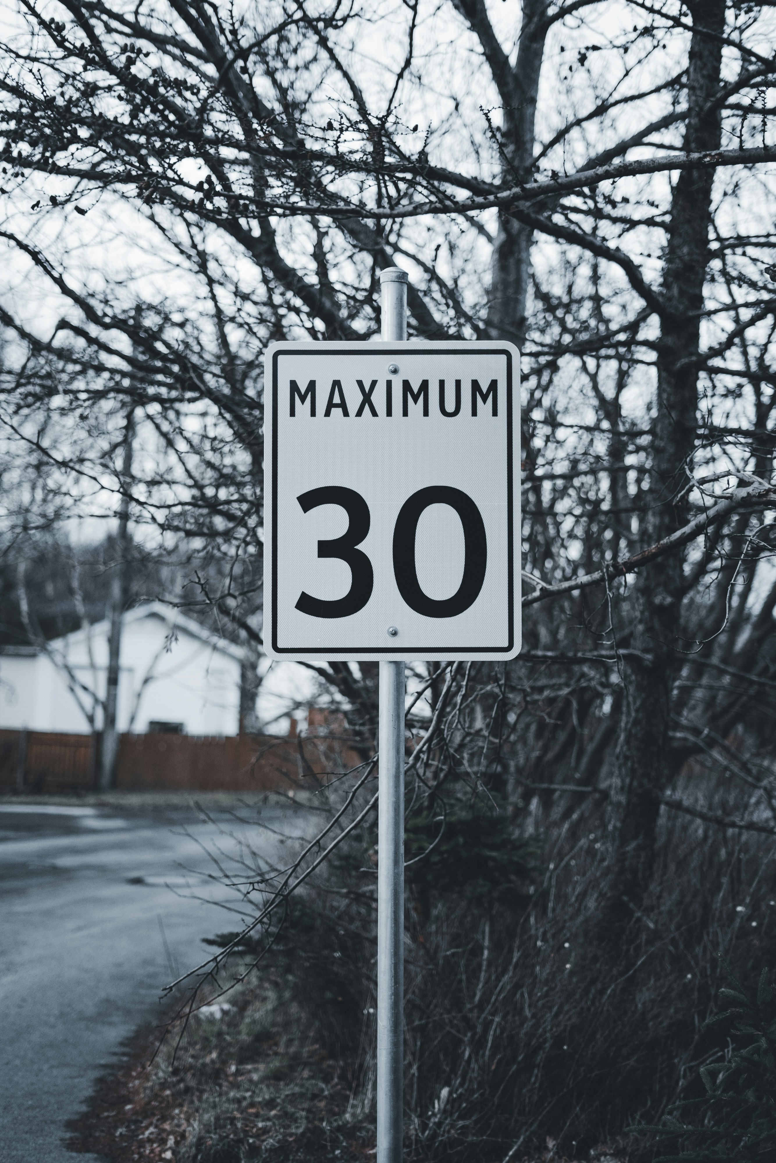A street sign on a pole next to a road