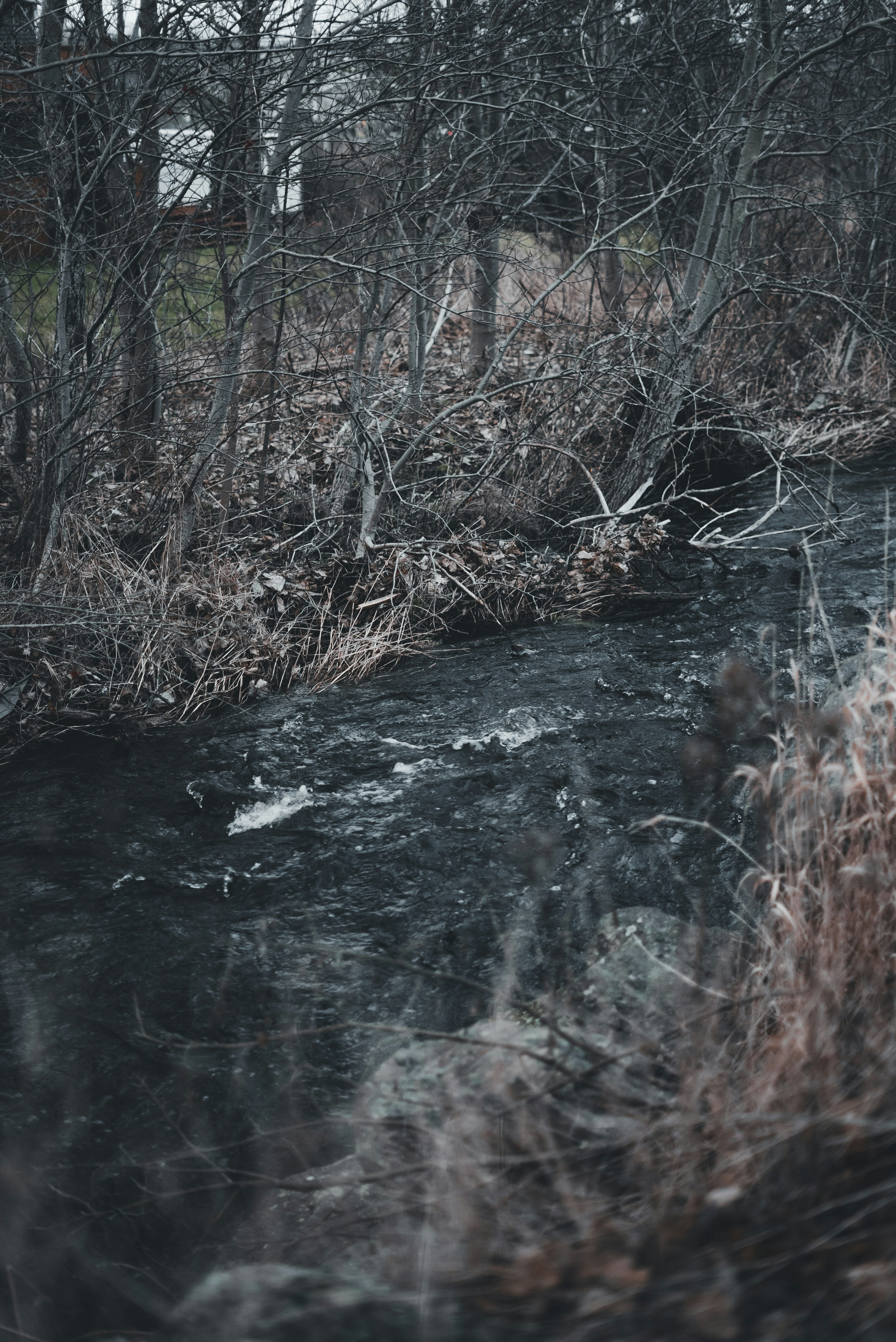 Photo by introspectivedsgn