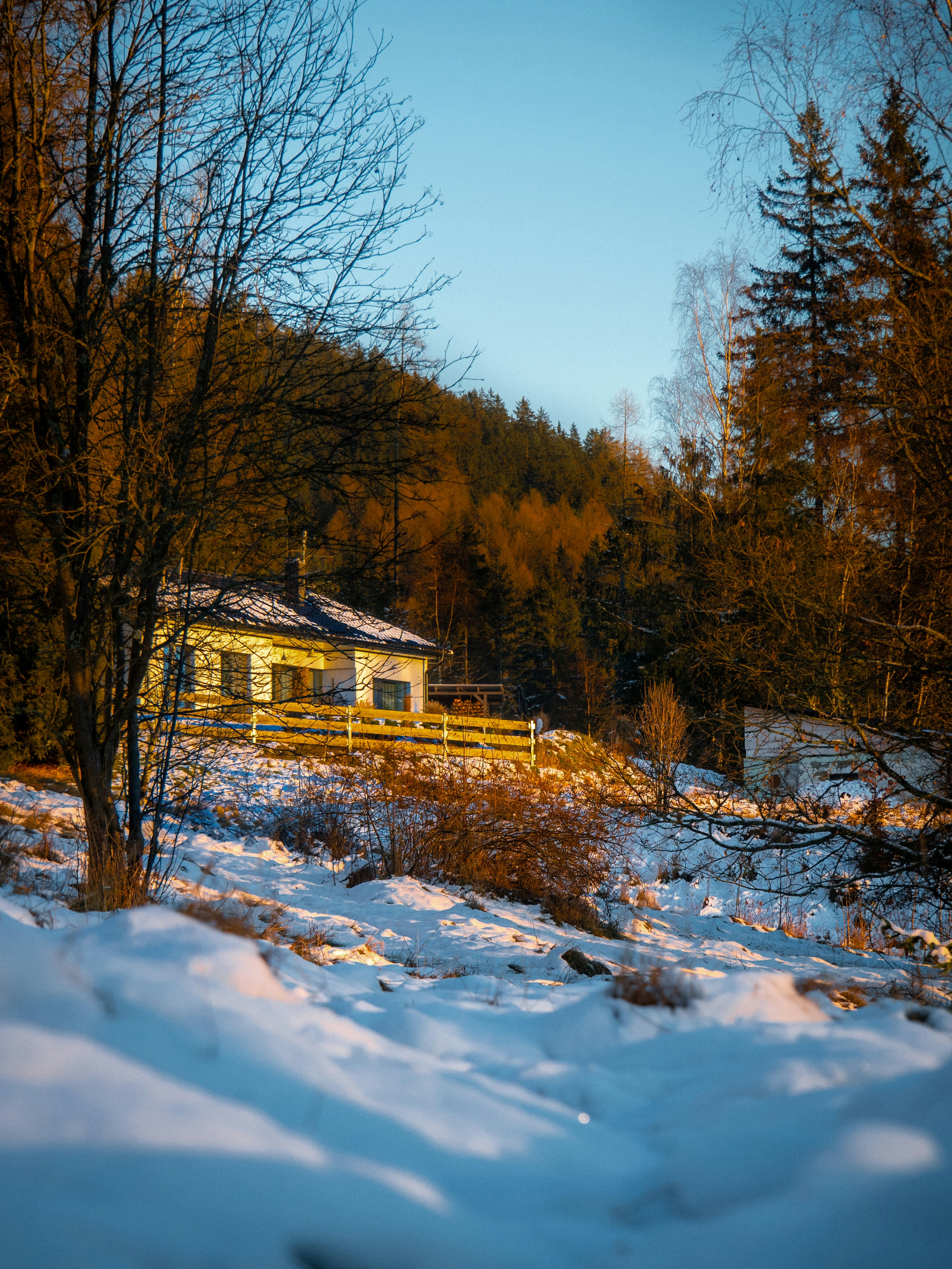 Photo by stepan_puta