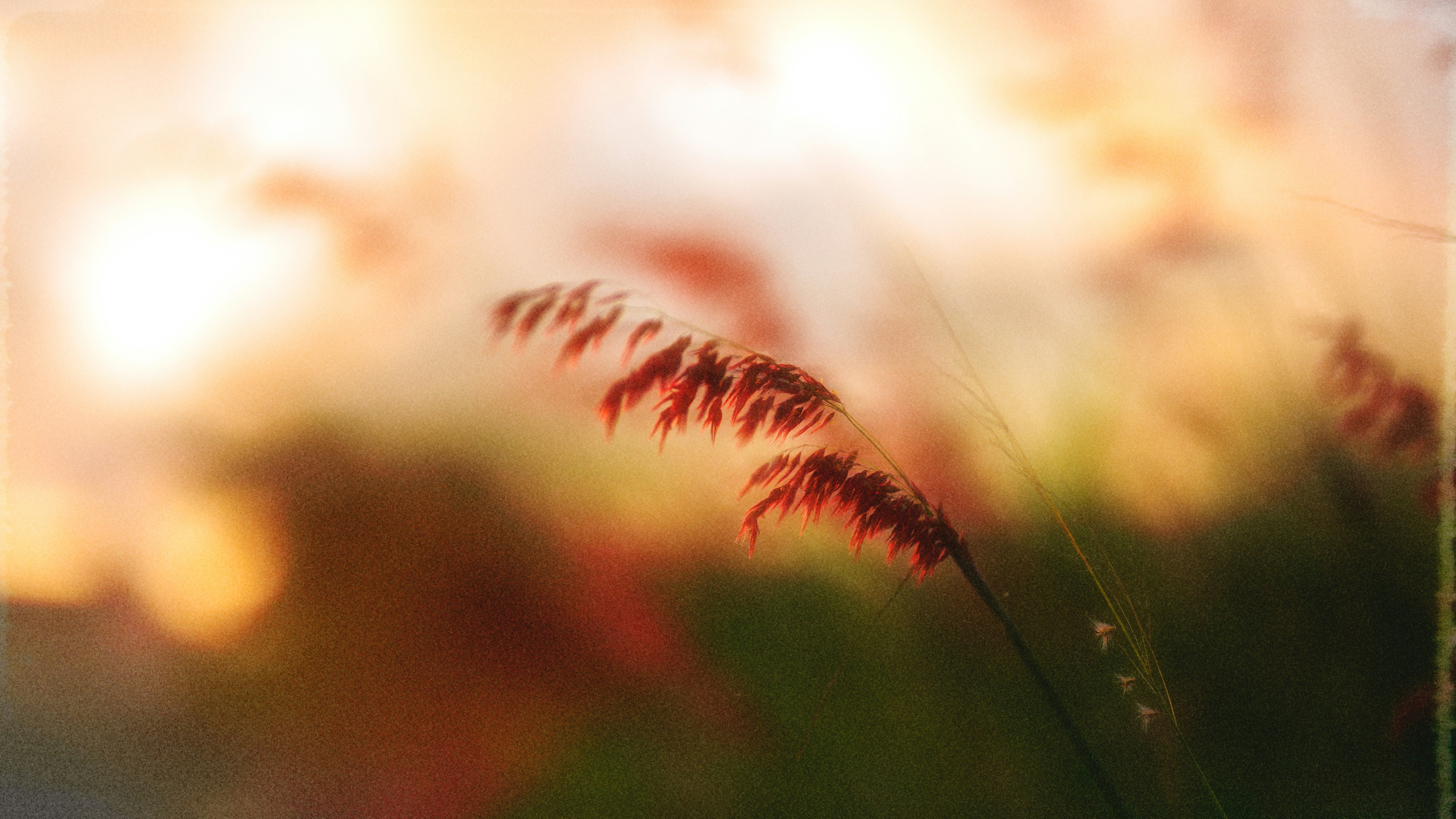 Photo by sachinamjhad