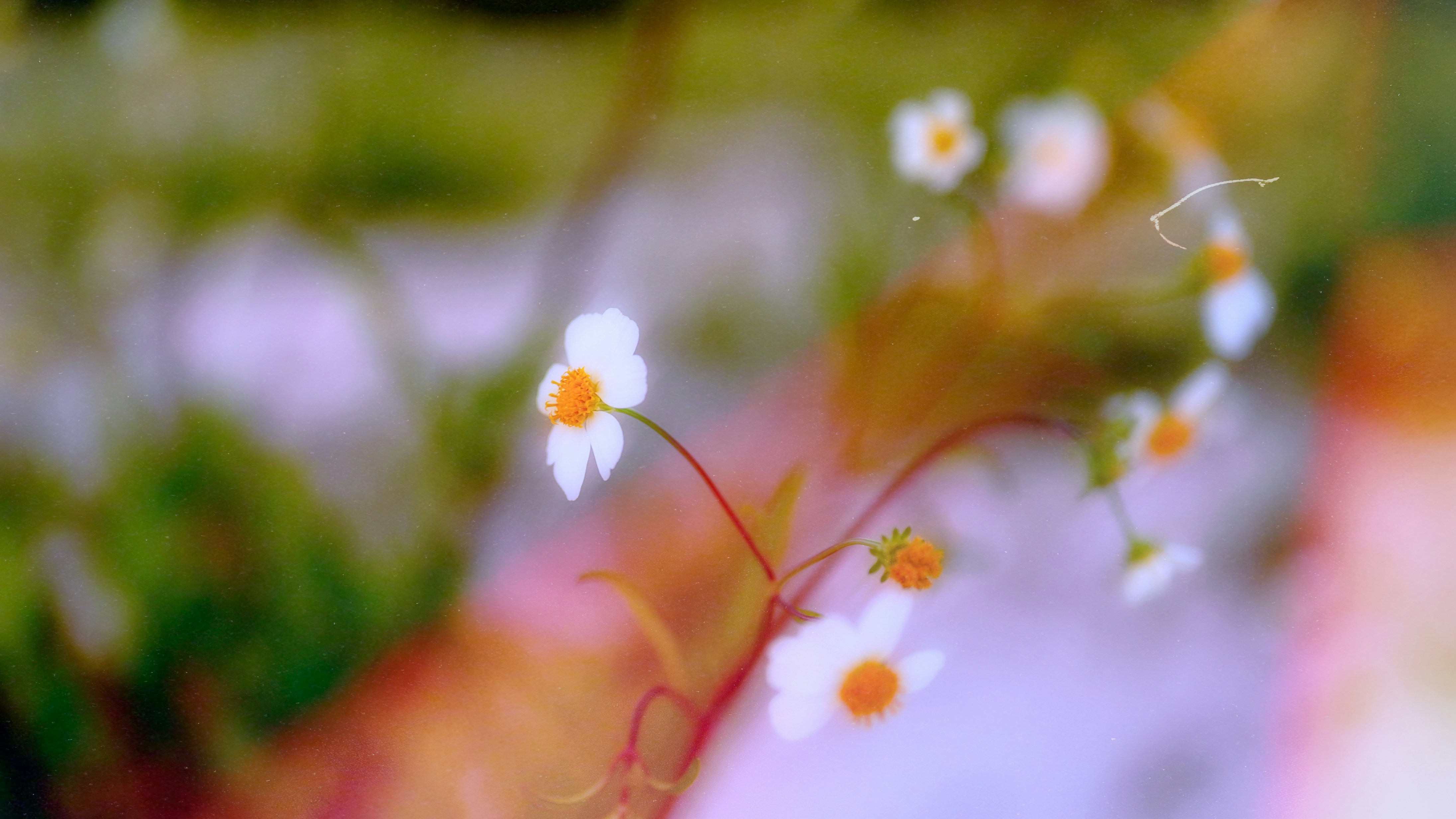 Photo by sachinamjhad