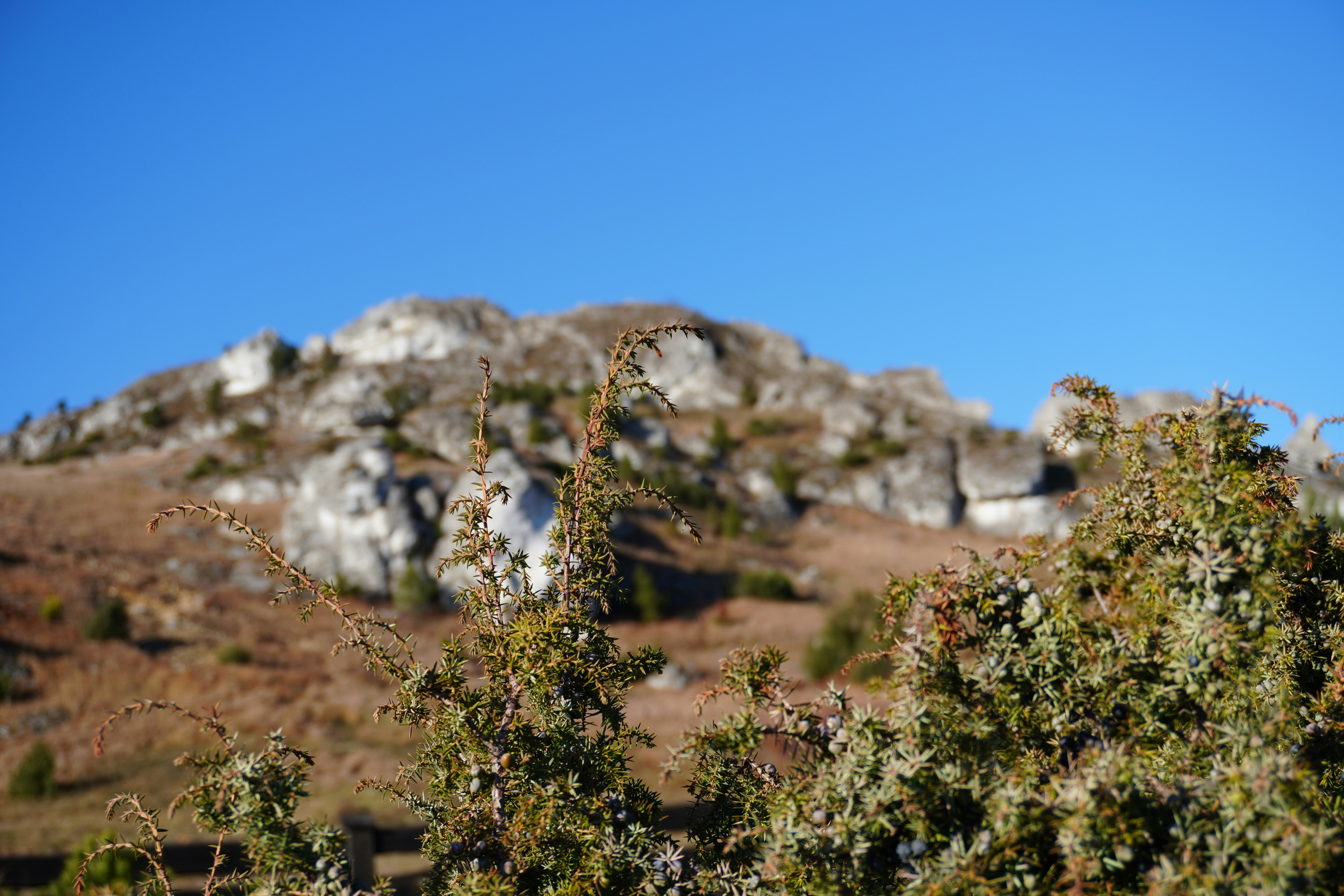 Photo by photographydamiankokot