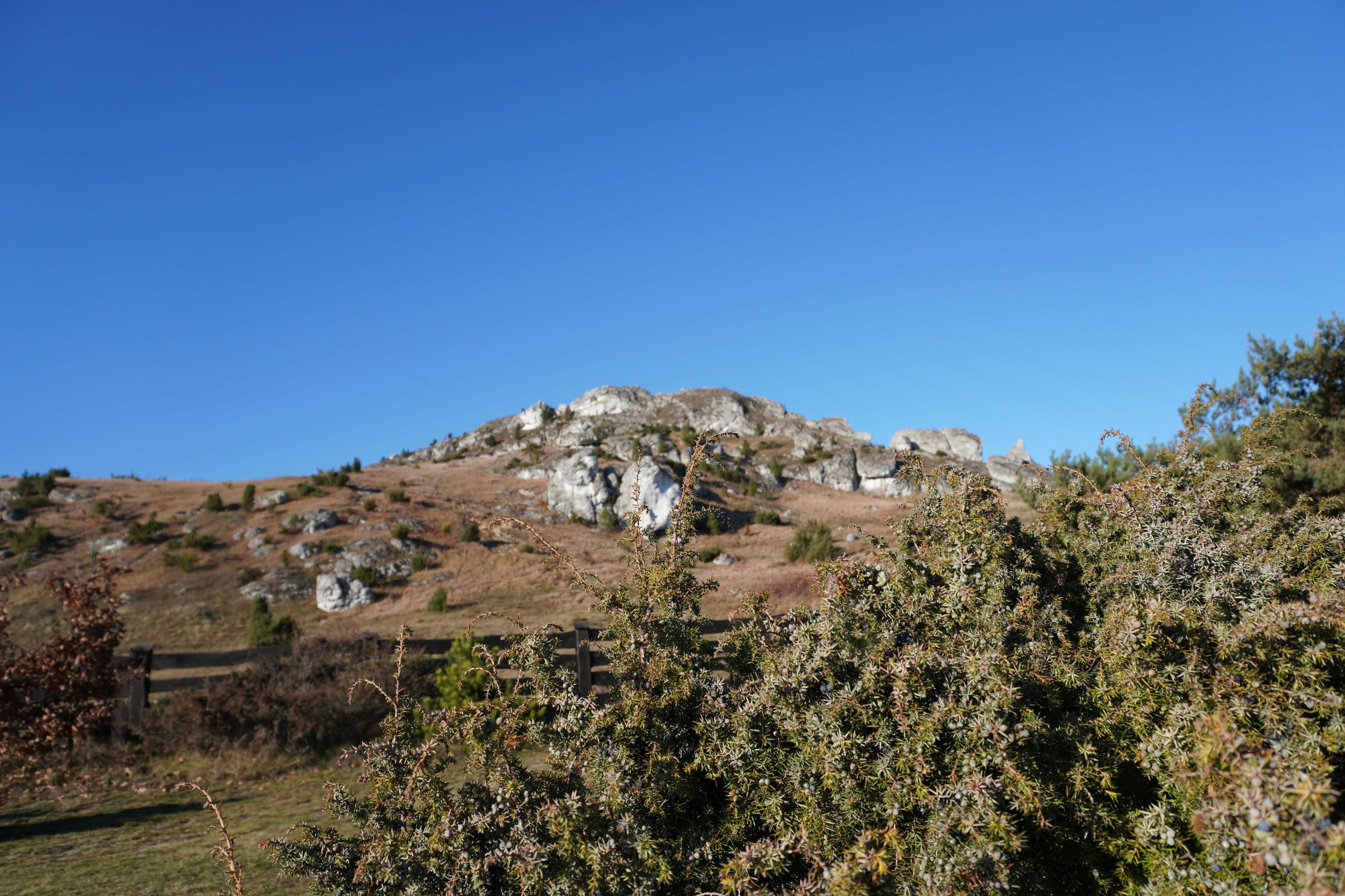 Photo by photographydamiankokot