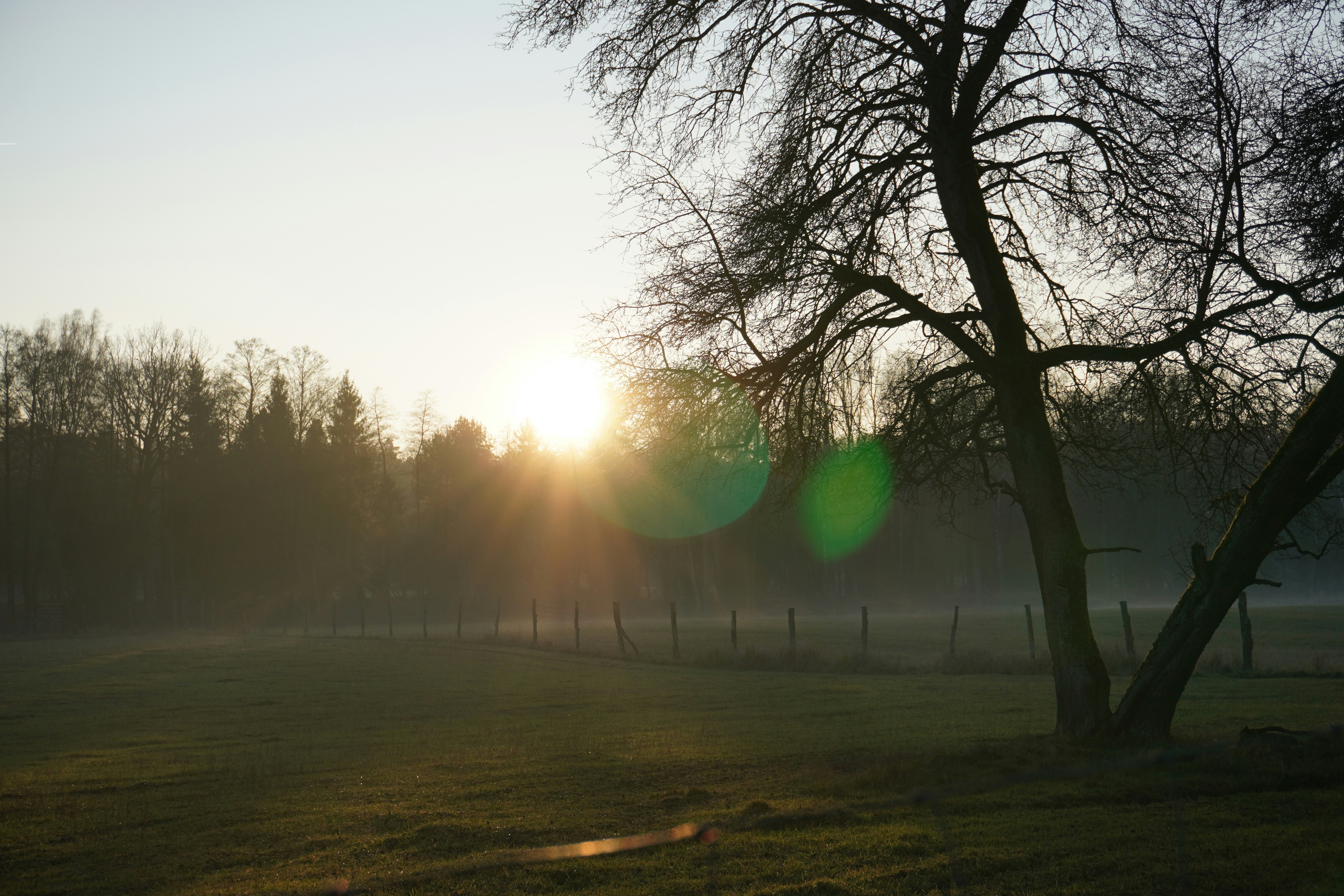 Photo by photographydamiankokot