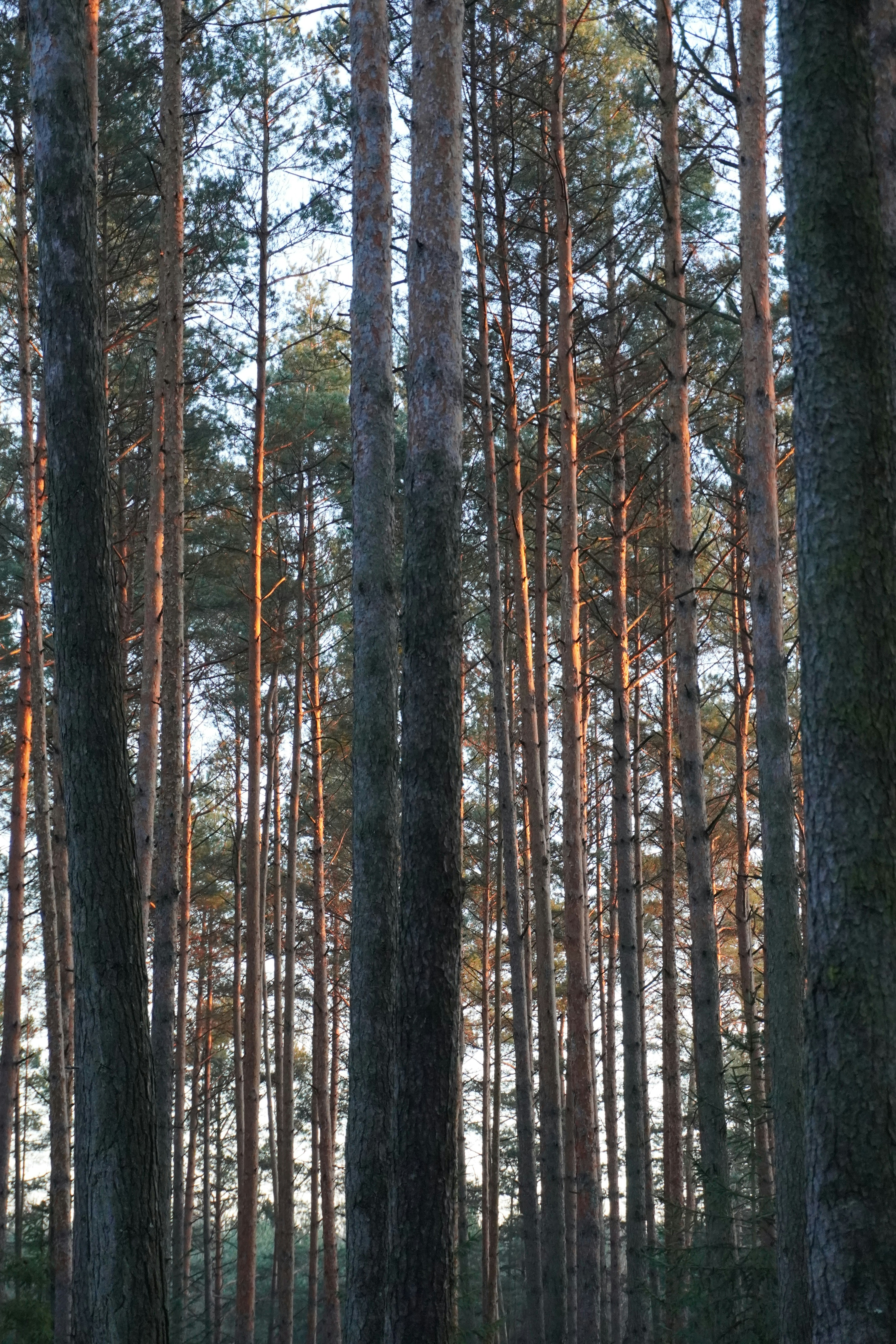 Photo by photographydamiankokot