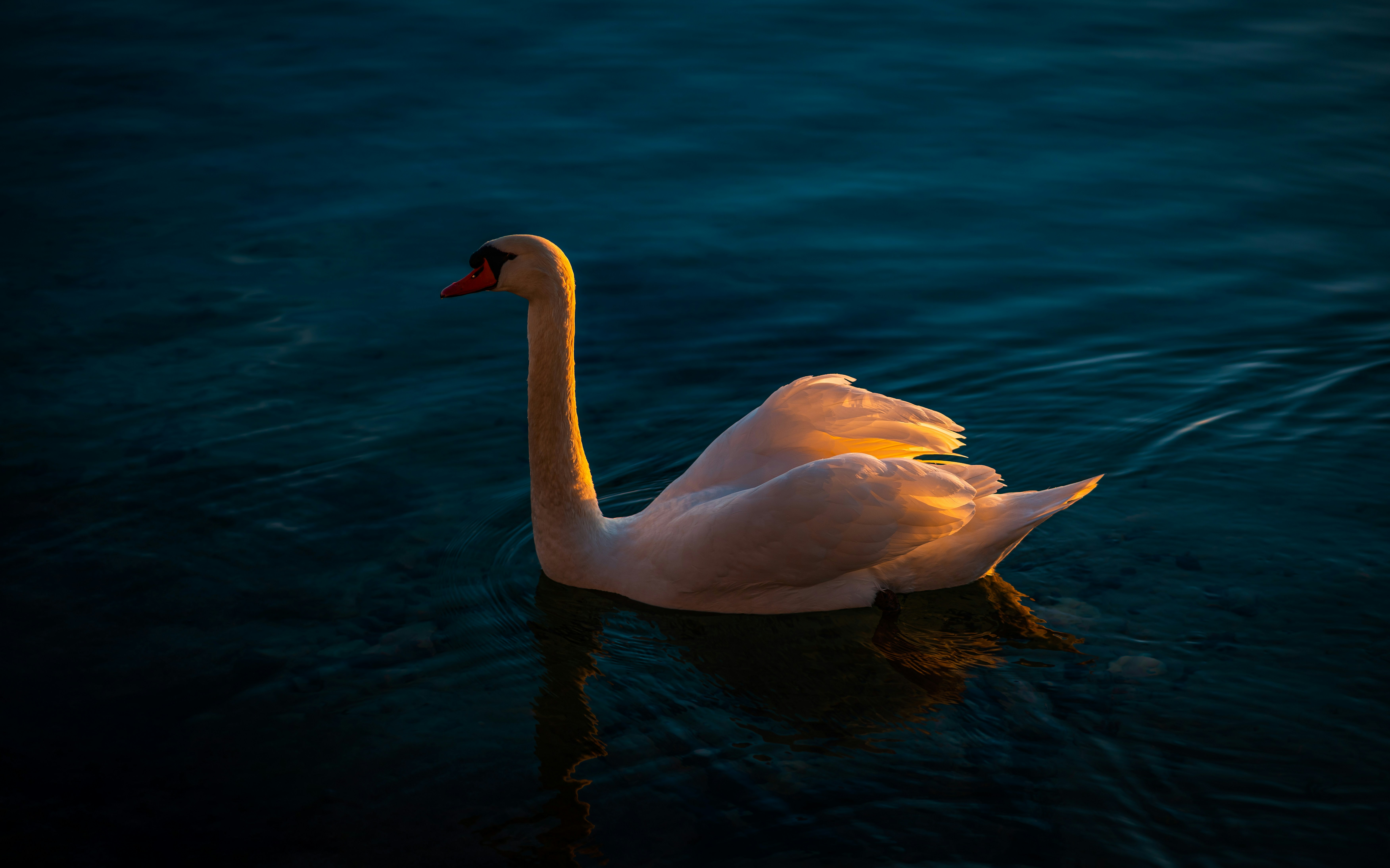 Photo by jahan_photobox