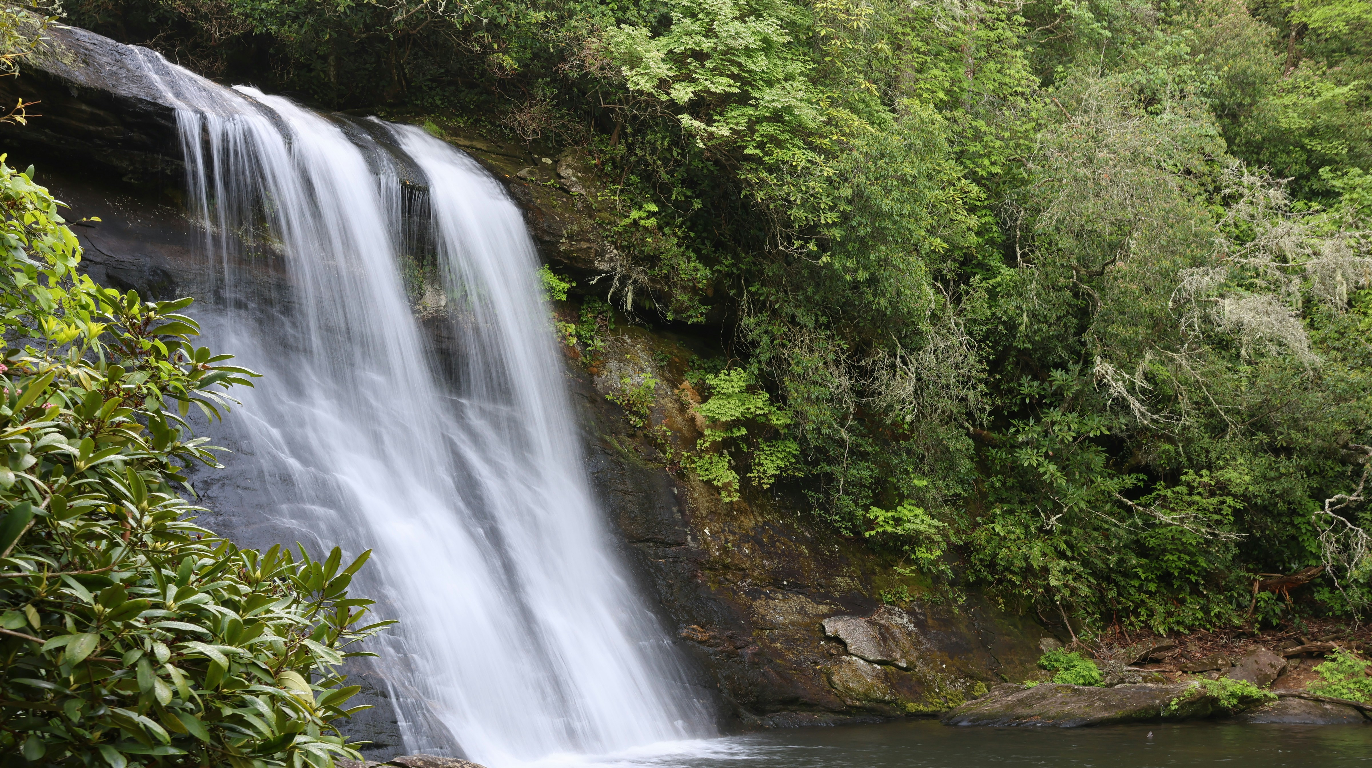 Photo by juliebird22