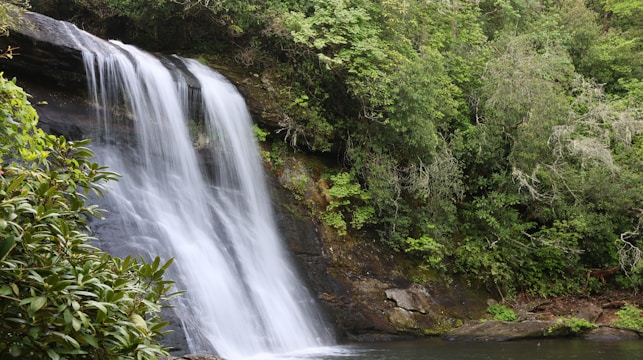 A large waterfall in the middle of a forest