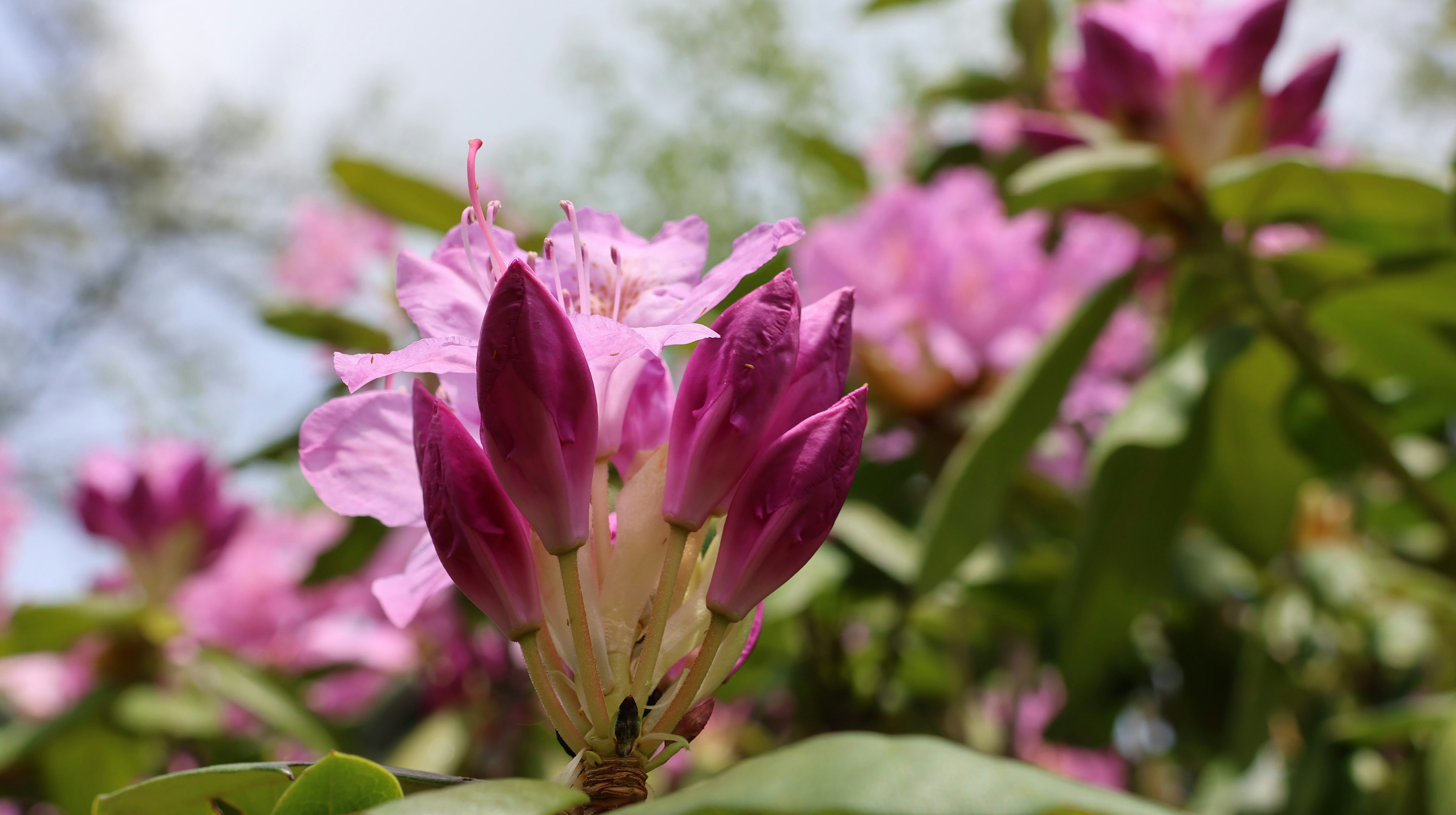 Photo by juliebird22