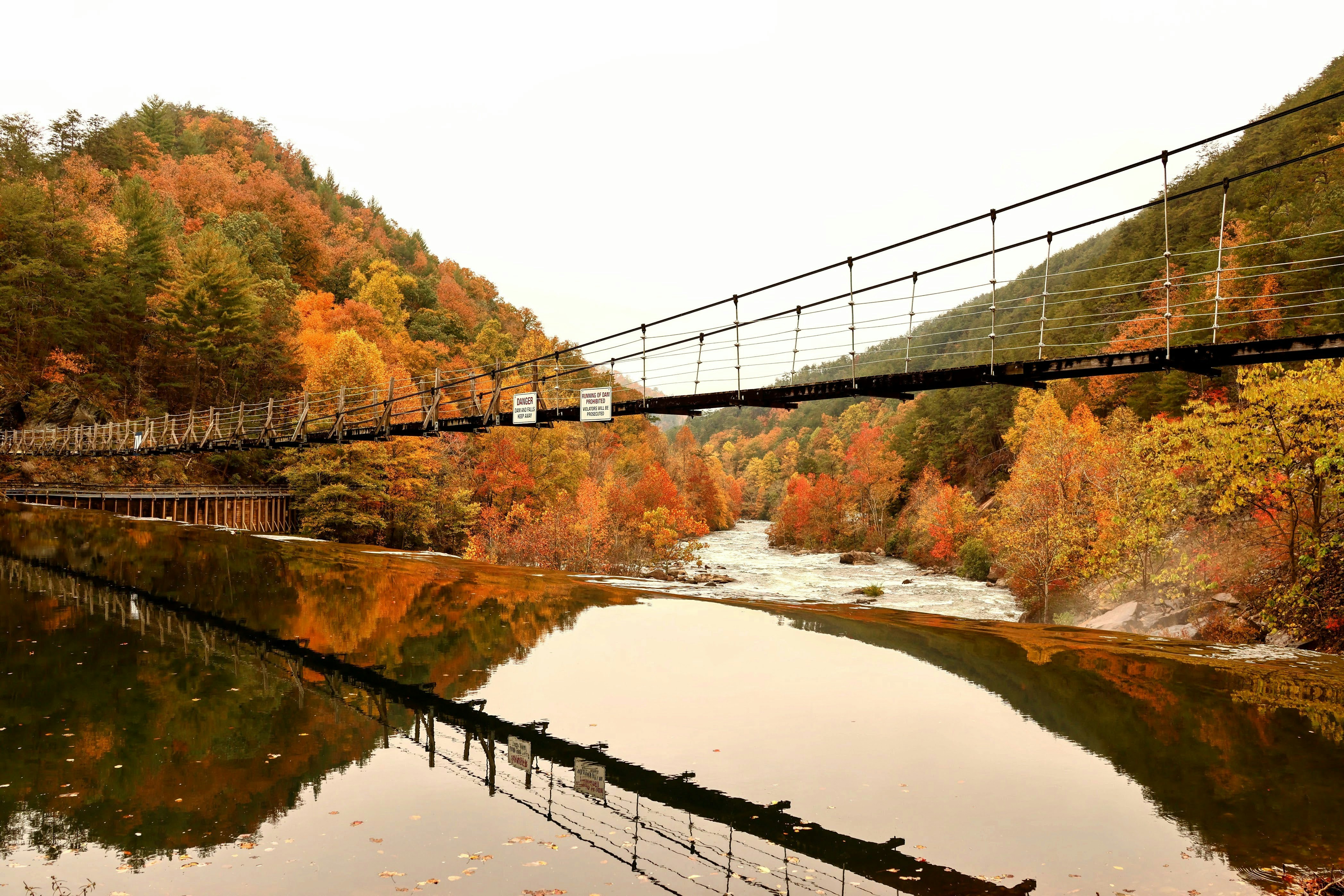 Photo by juliebird22