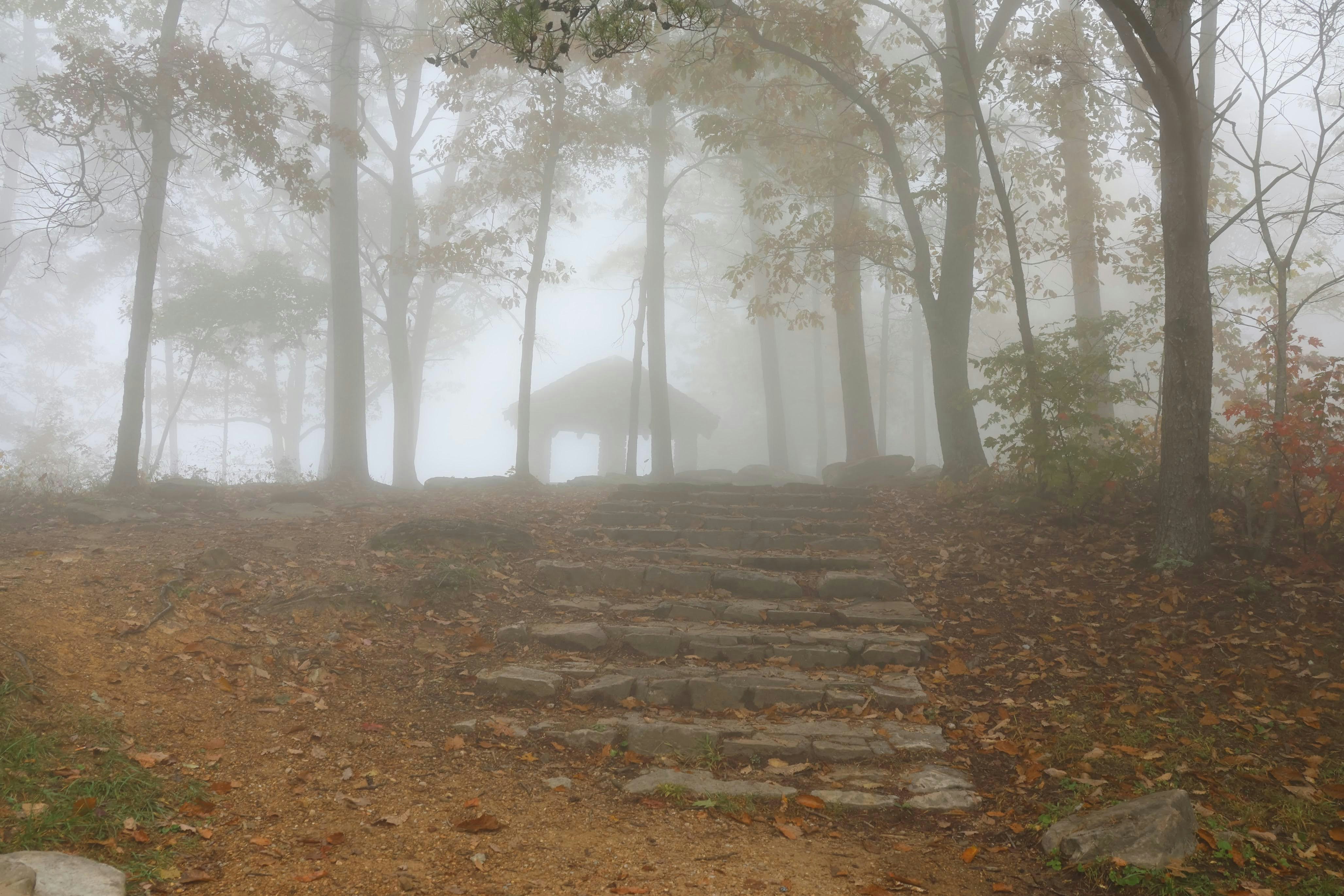 Photo by juliebird22