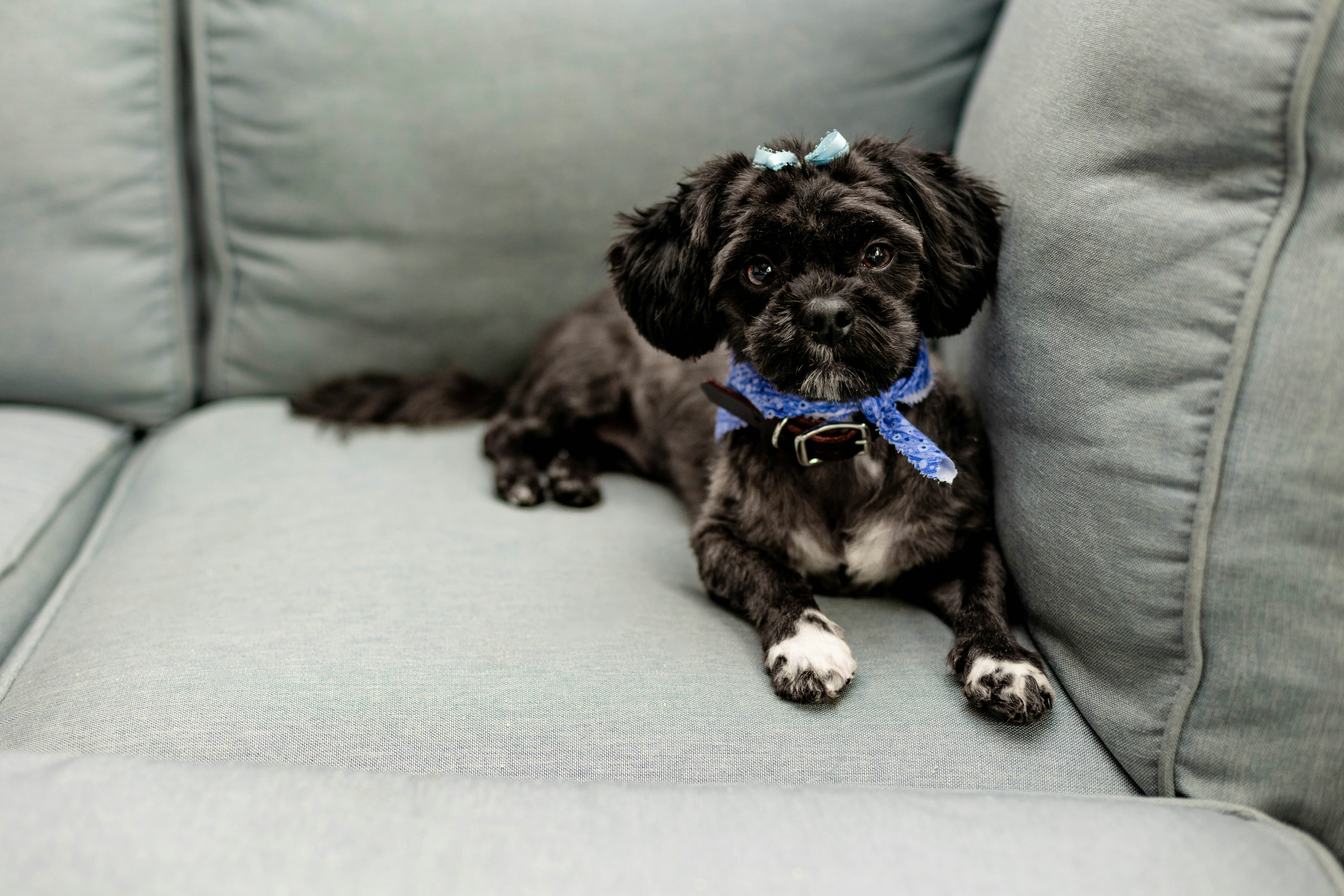 Photo by ohlmanphotography