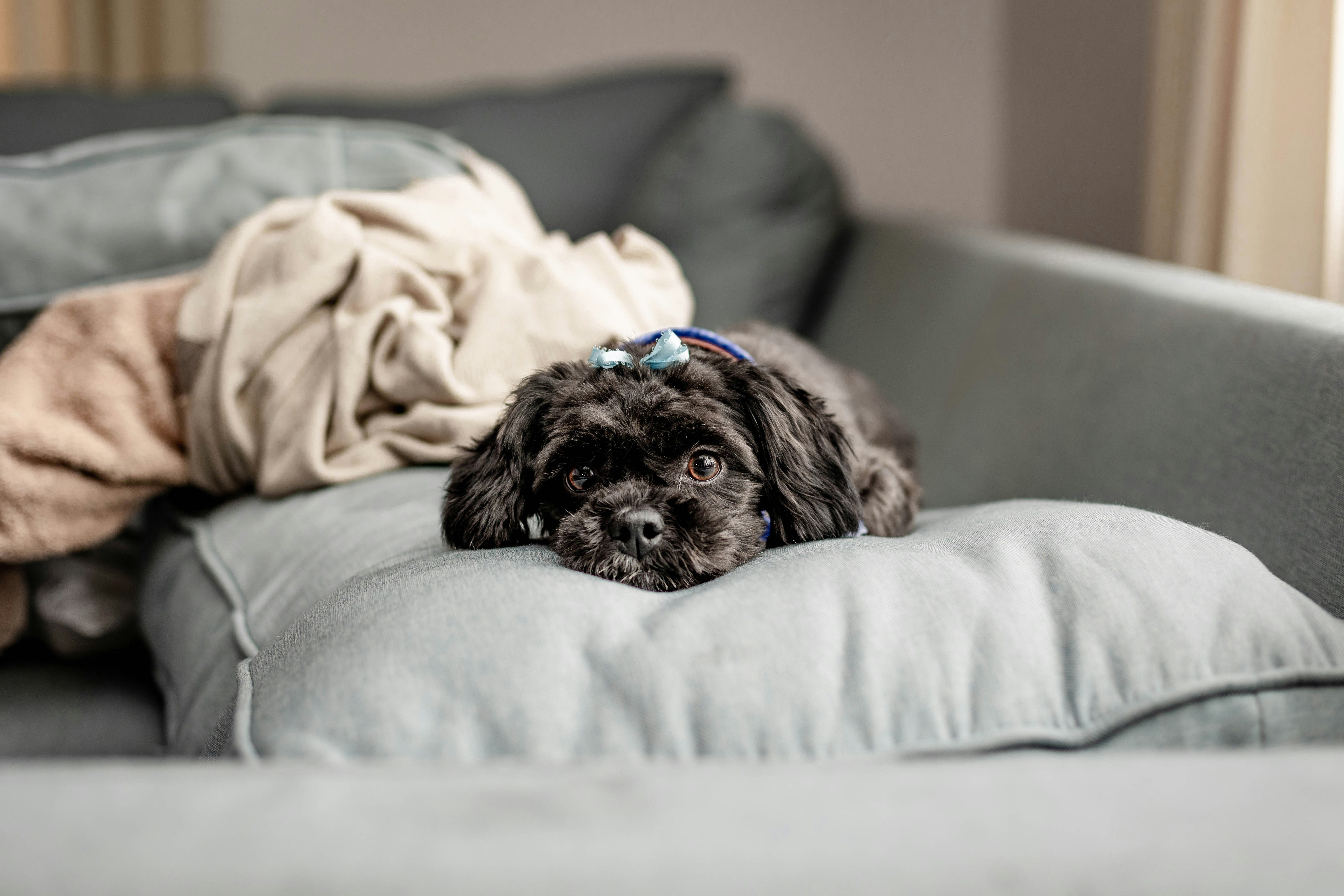 Photo by ohlmanphotography