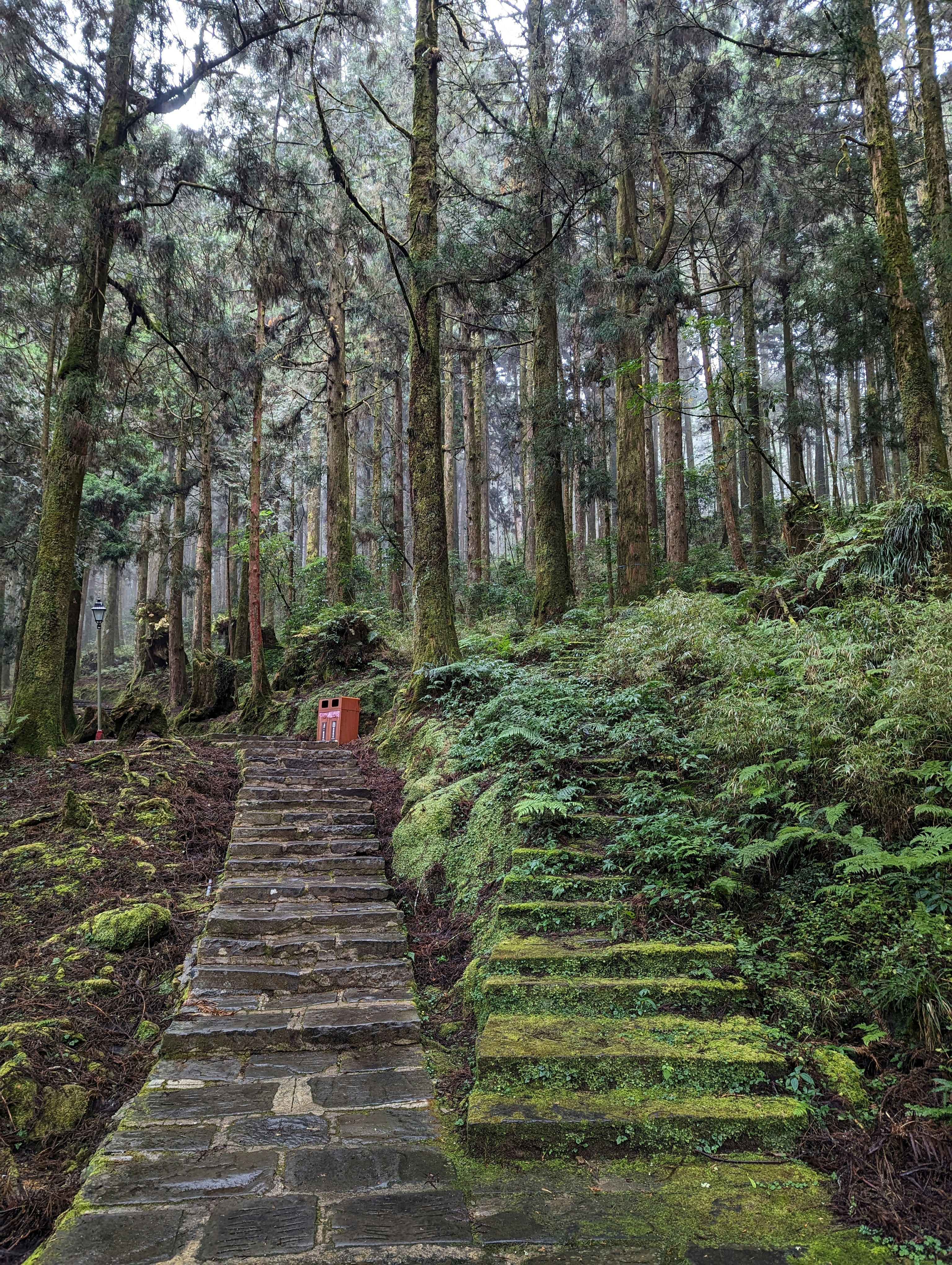 Photo by speeddragon35