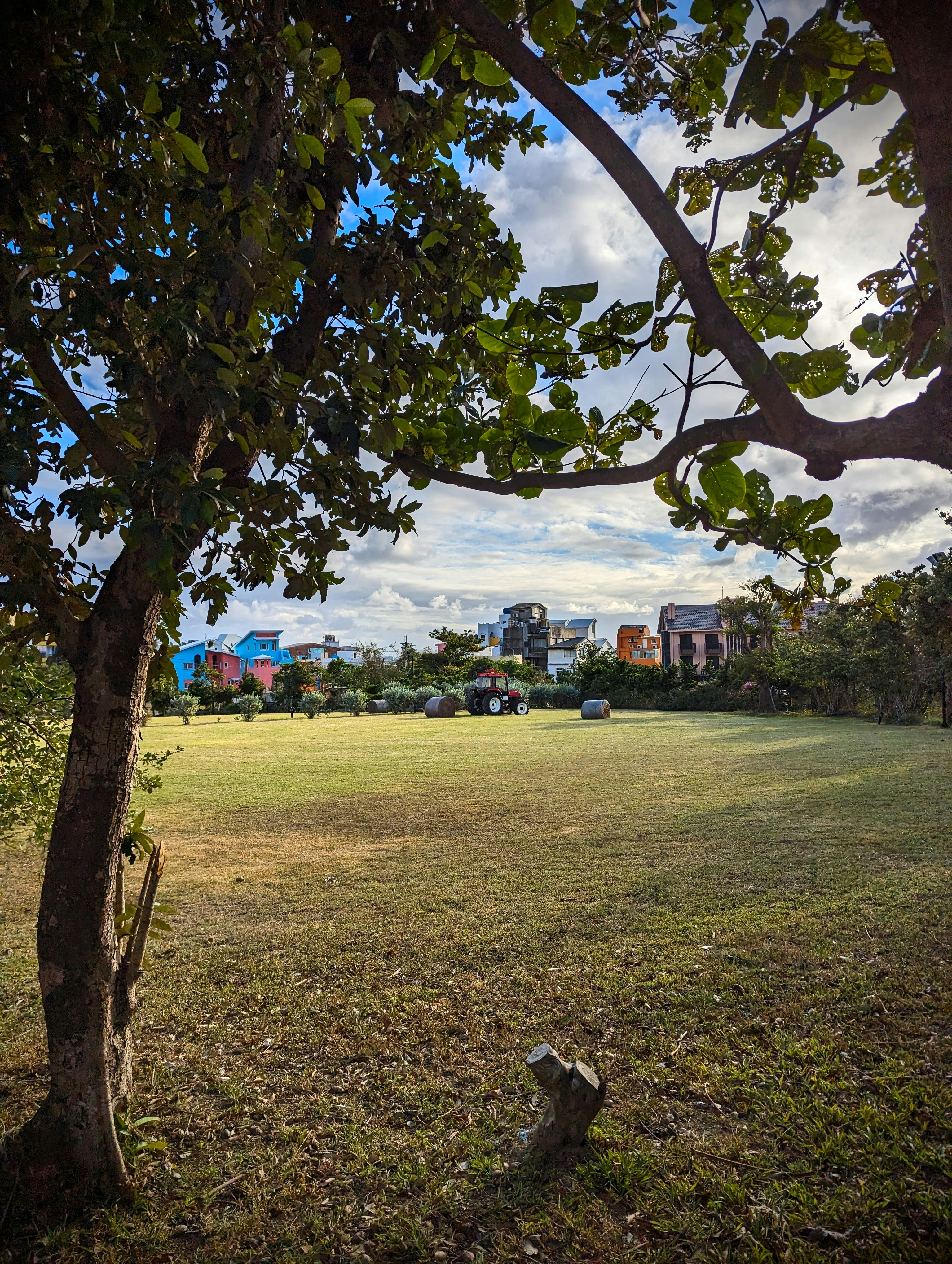 Photo by speeddragon35