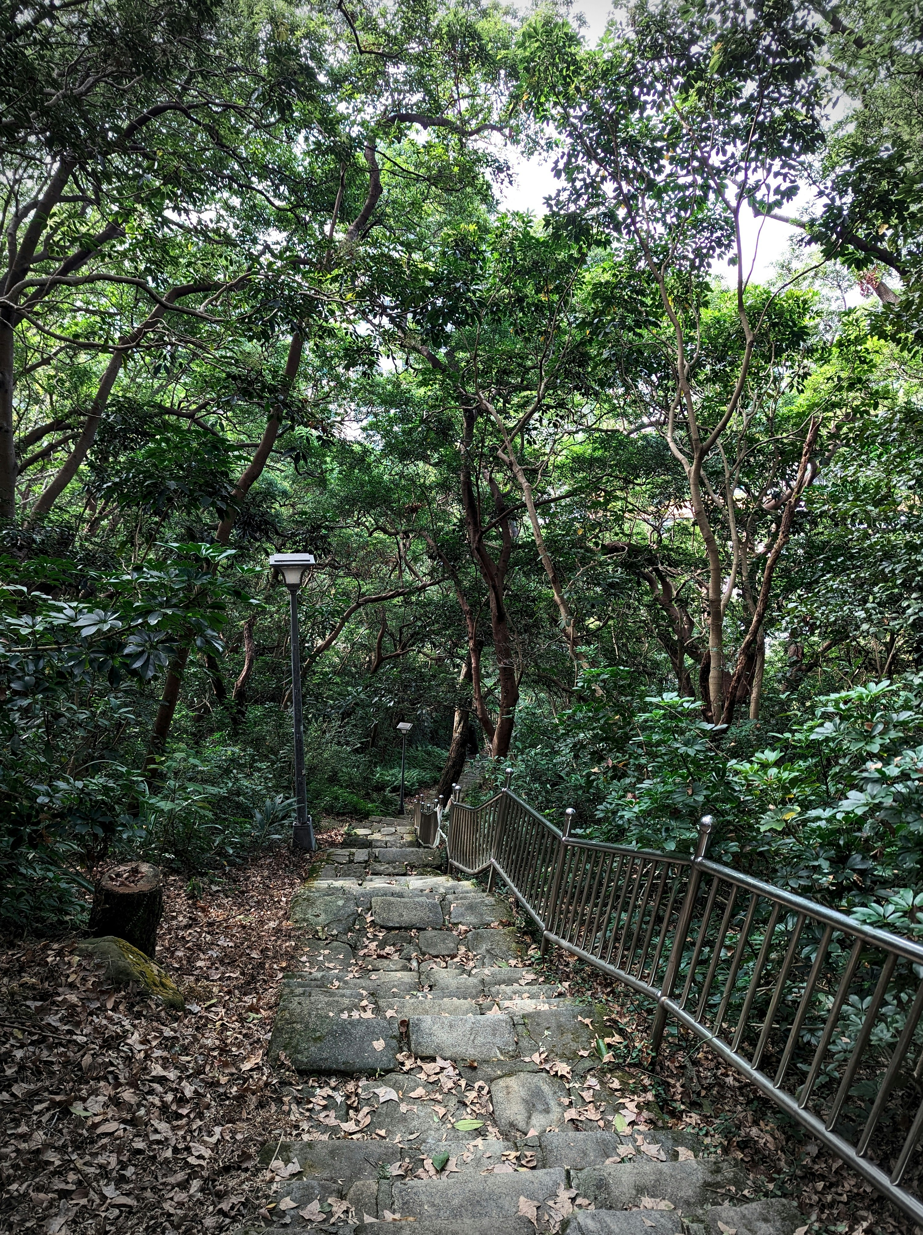 Photo by speeddragon35