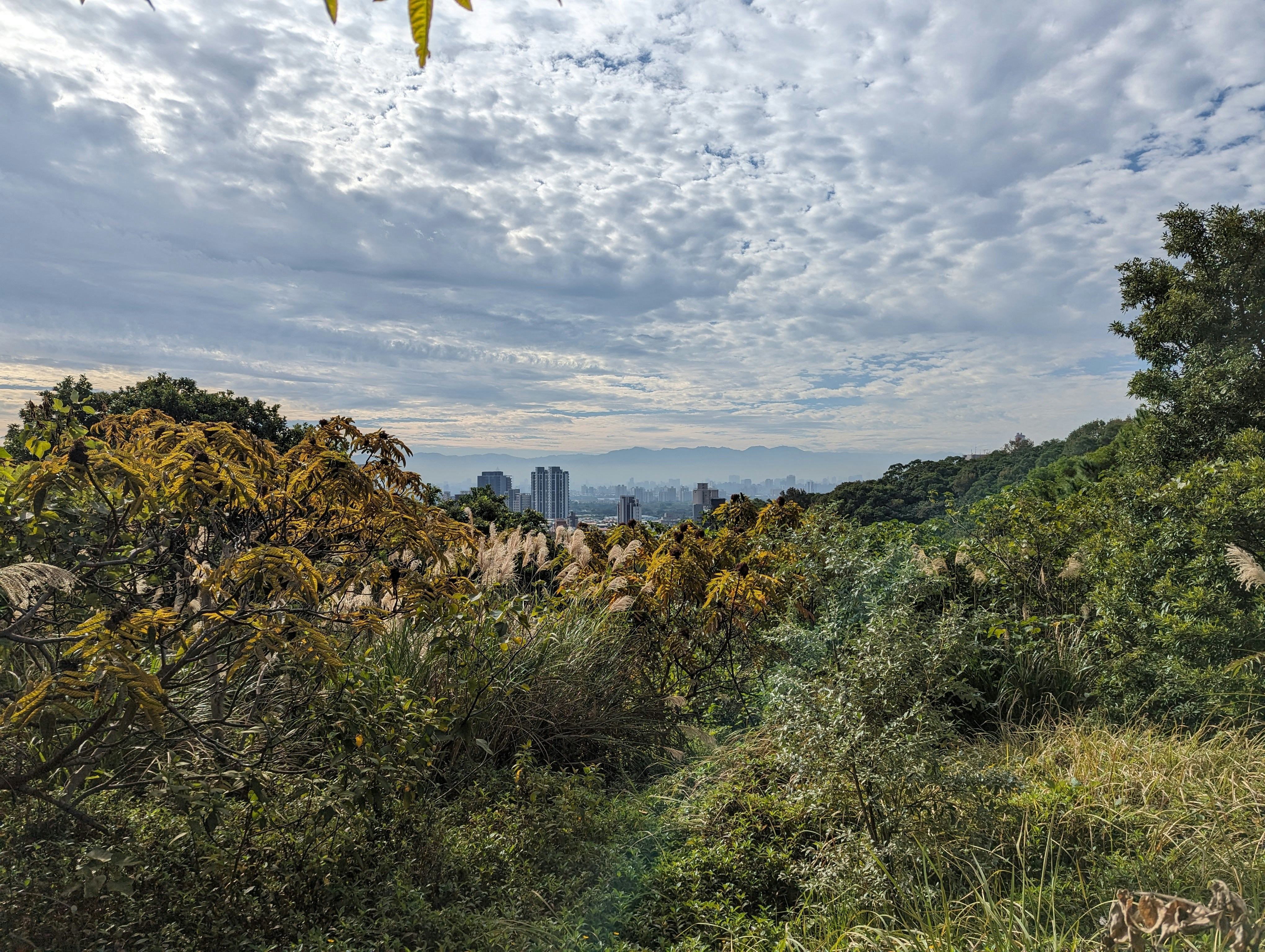 Photo by speeddragon35