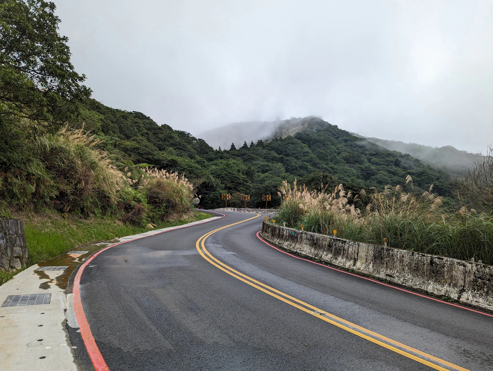 A paved mountain road curving through mist in Taiwan