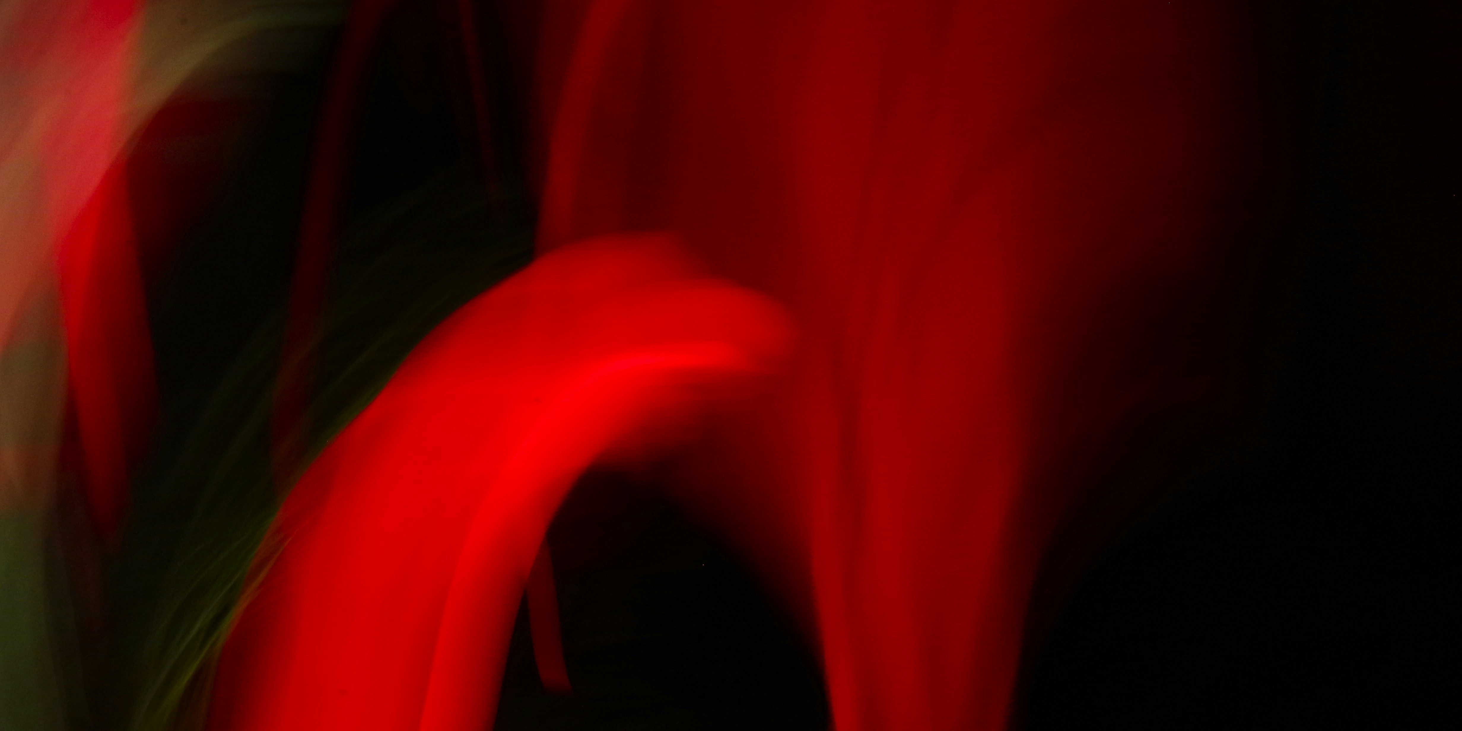 Photo by photoken123