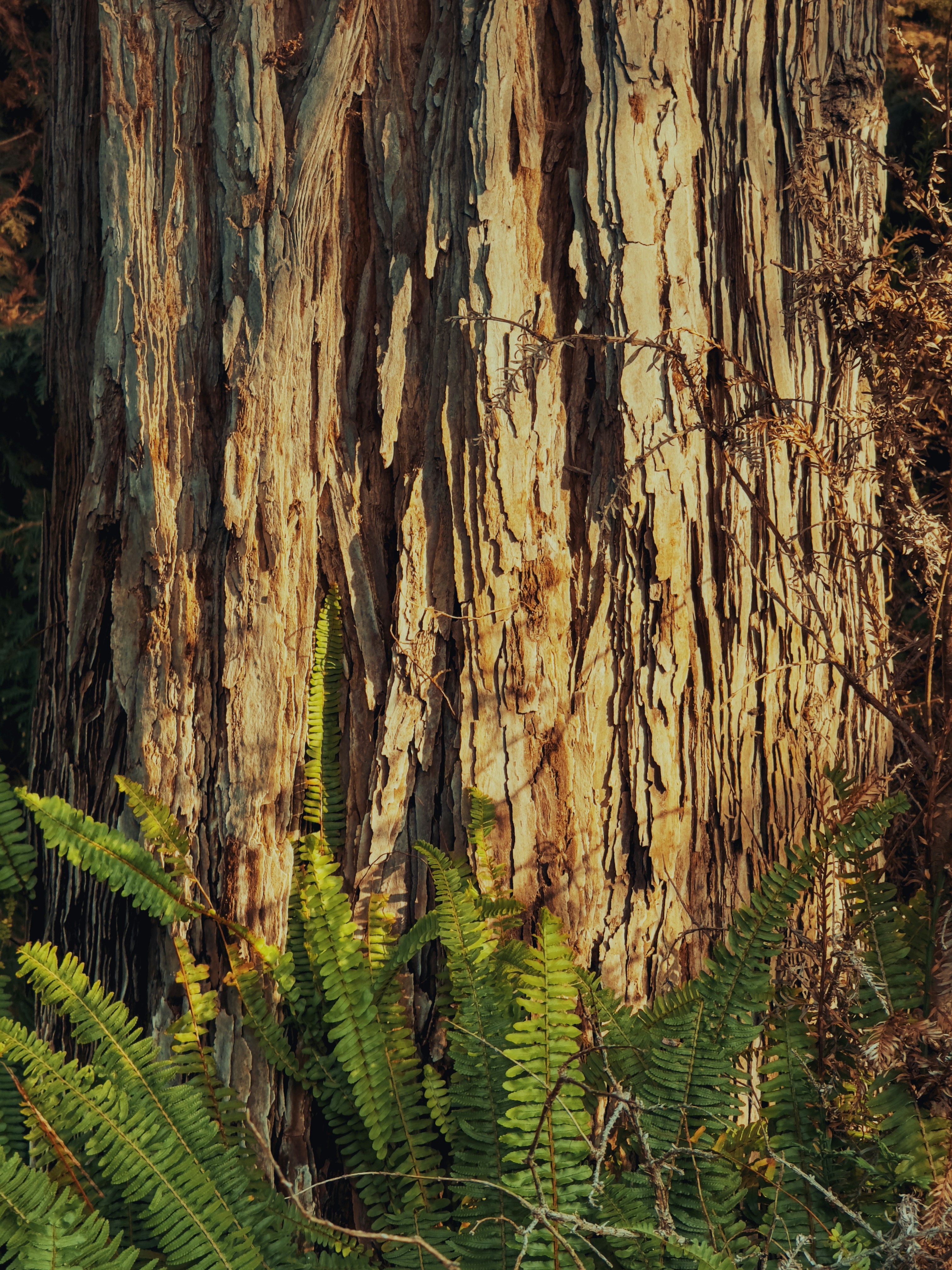 Photo by spencer_demera