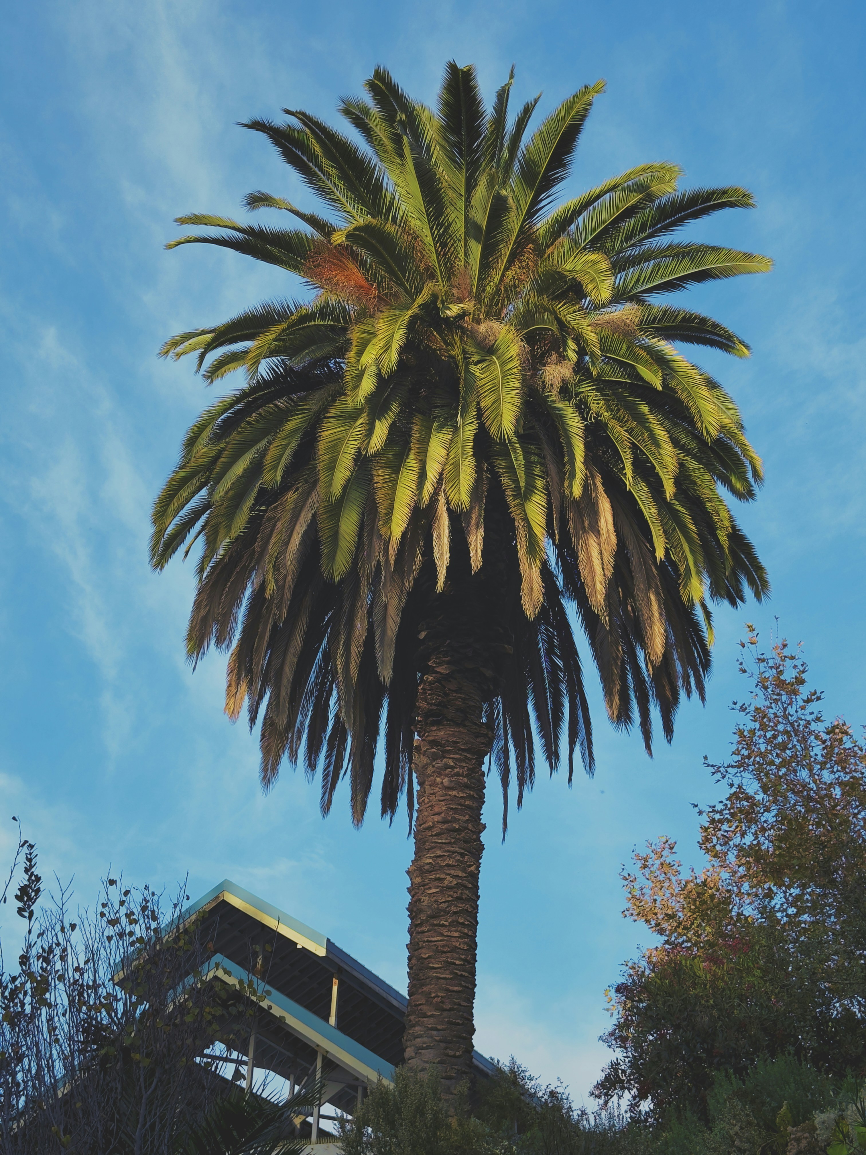 Monitoring Policy Developments and Adapting Your Business Strategy in California